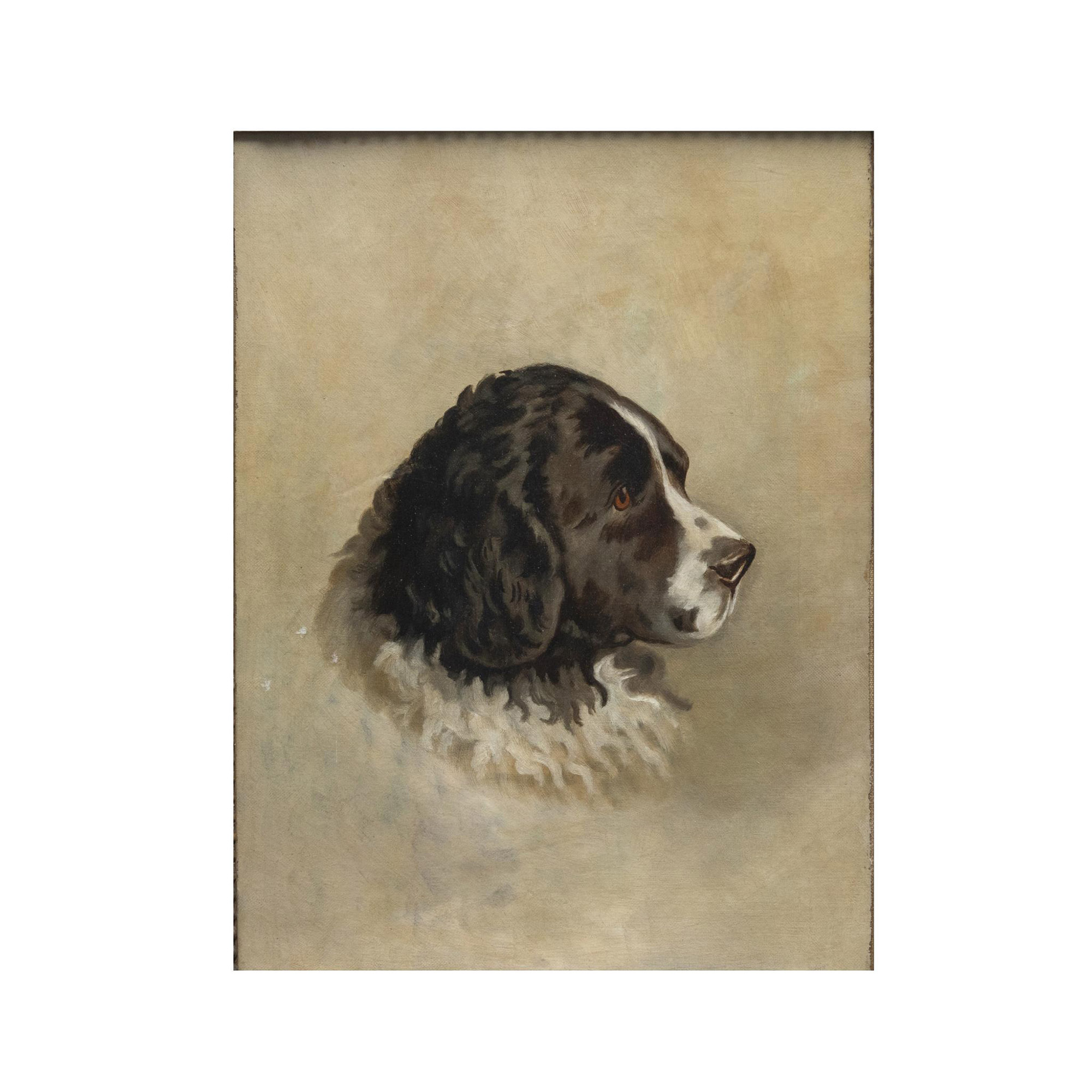 Original Oil on Canvas, Large Portrait of a English Spaniel - Image 2 of 5