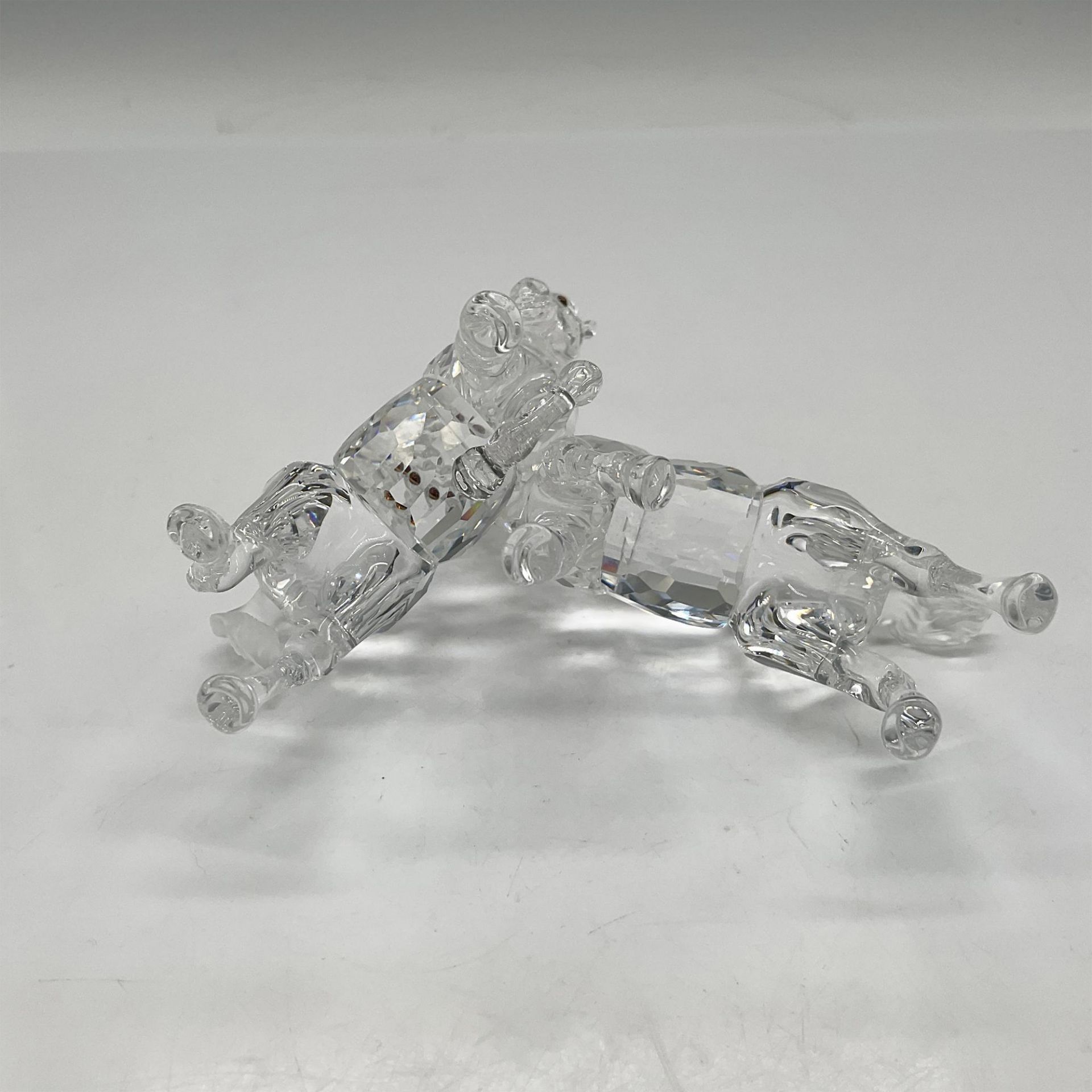 Swarovski Crystal Figurine, Foals Playing - Clear - Bild 3 aus 3