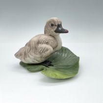 Boehm Cygnet Duck Figurine, Cygnus Olor 400-46H