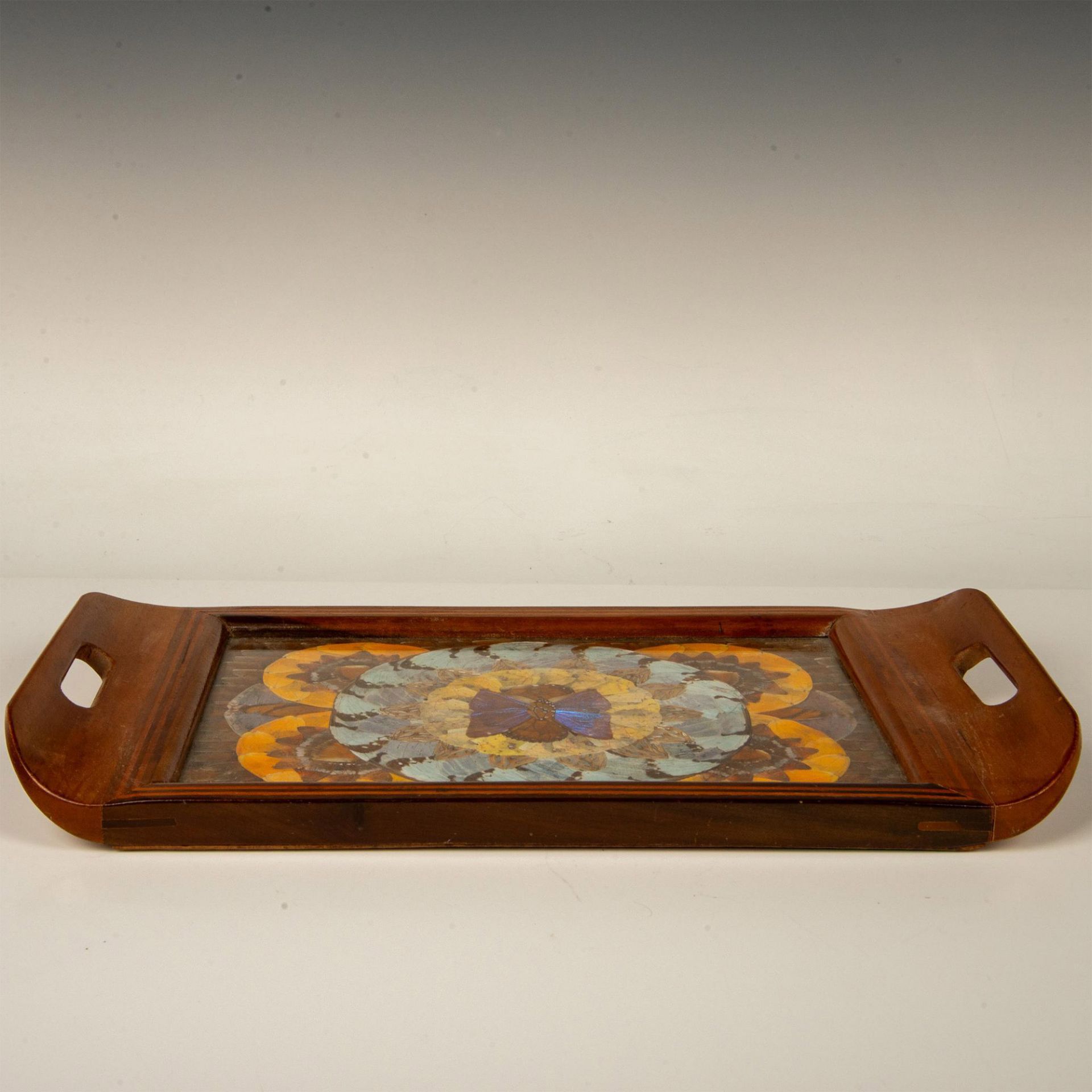 Butterfly Wing Art Inlaid Wood Tray