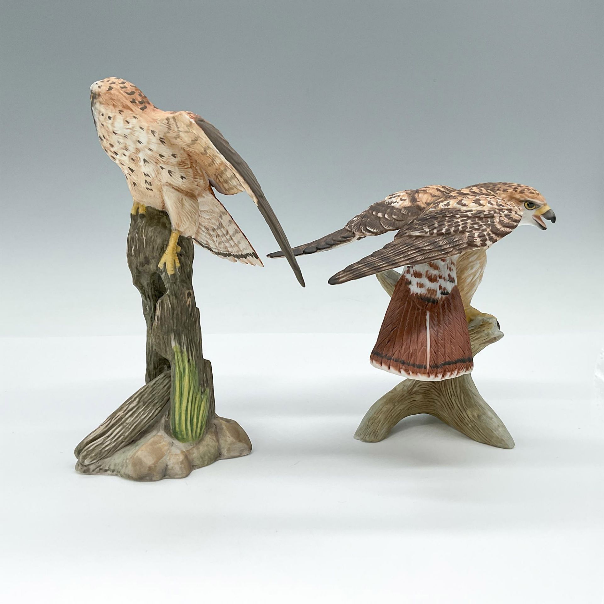 2pc Franklin Mint Figurines, Noble Birds of the World - Bild 2 aus 3