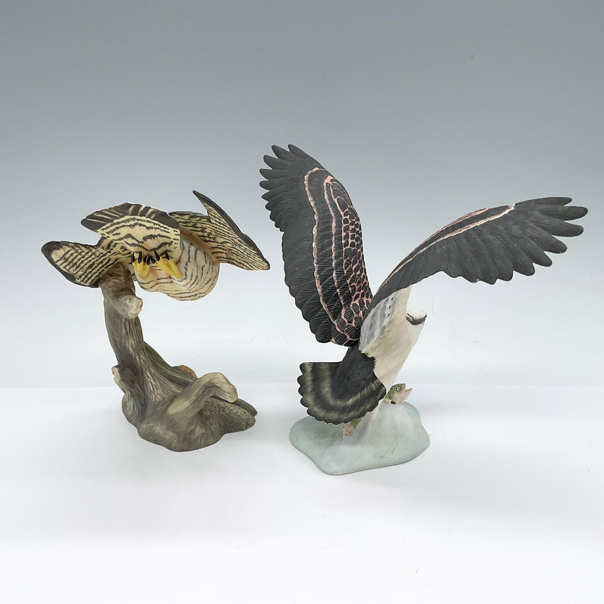 2pc Franklin Mint Figurines Noble Birds of Prey, Hawks - Image 2 of 3