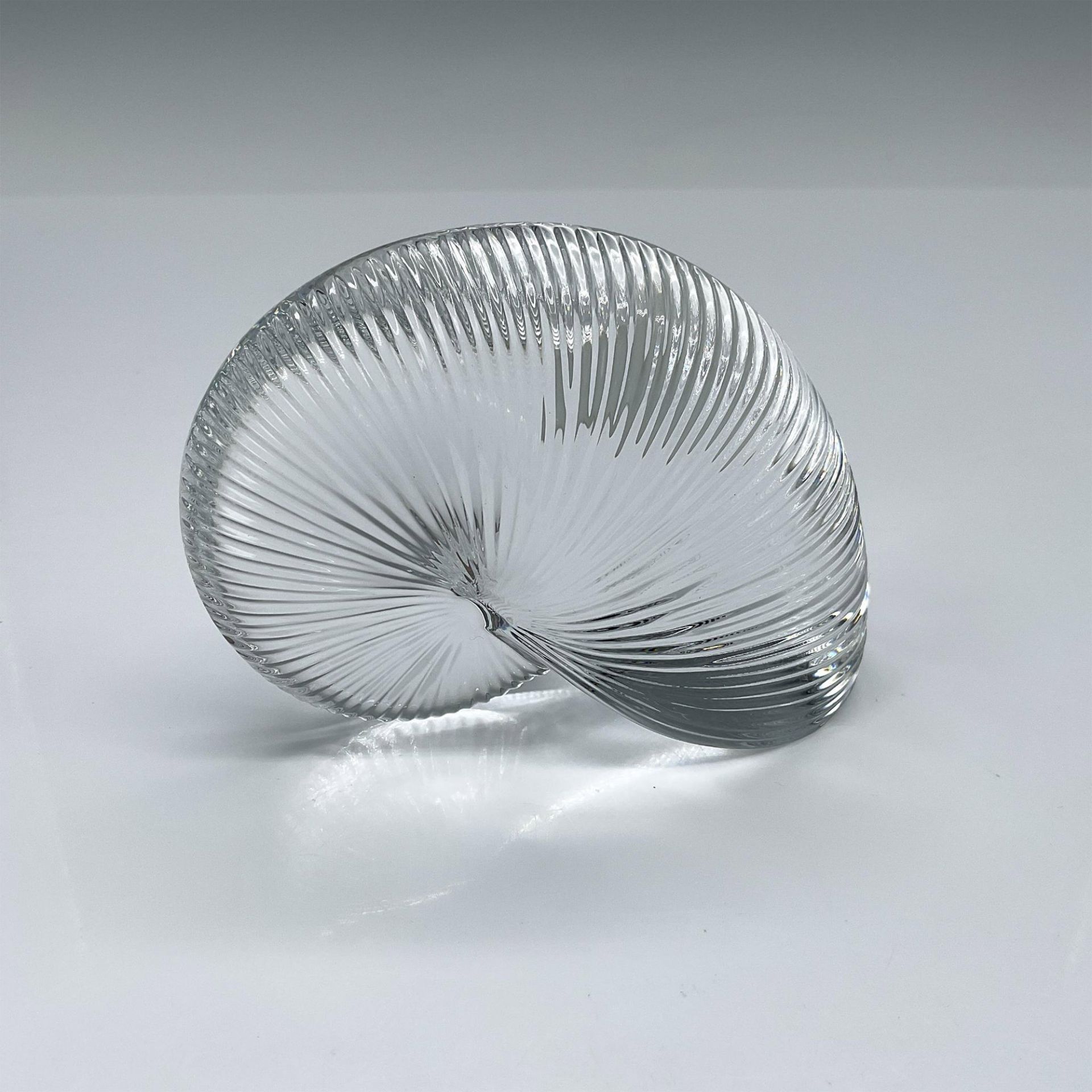 Baccarat Crystal Nautilus Shell Paperweight - Image 2 of 5