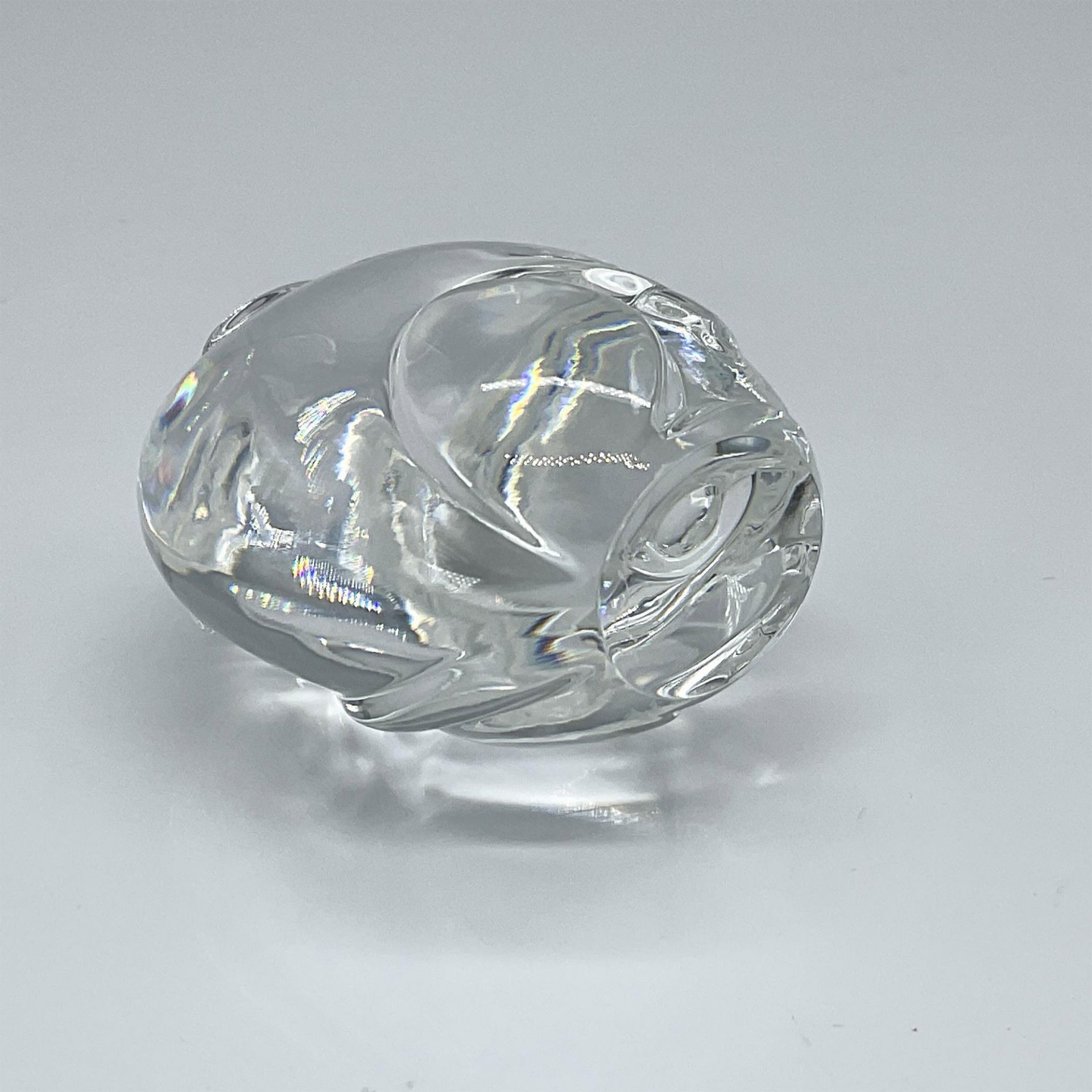Steuben Glass Crystal Rat Hand Cooler - Image 3 of 3