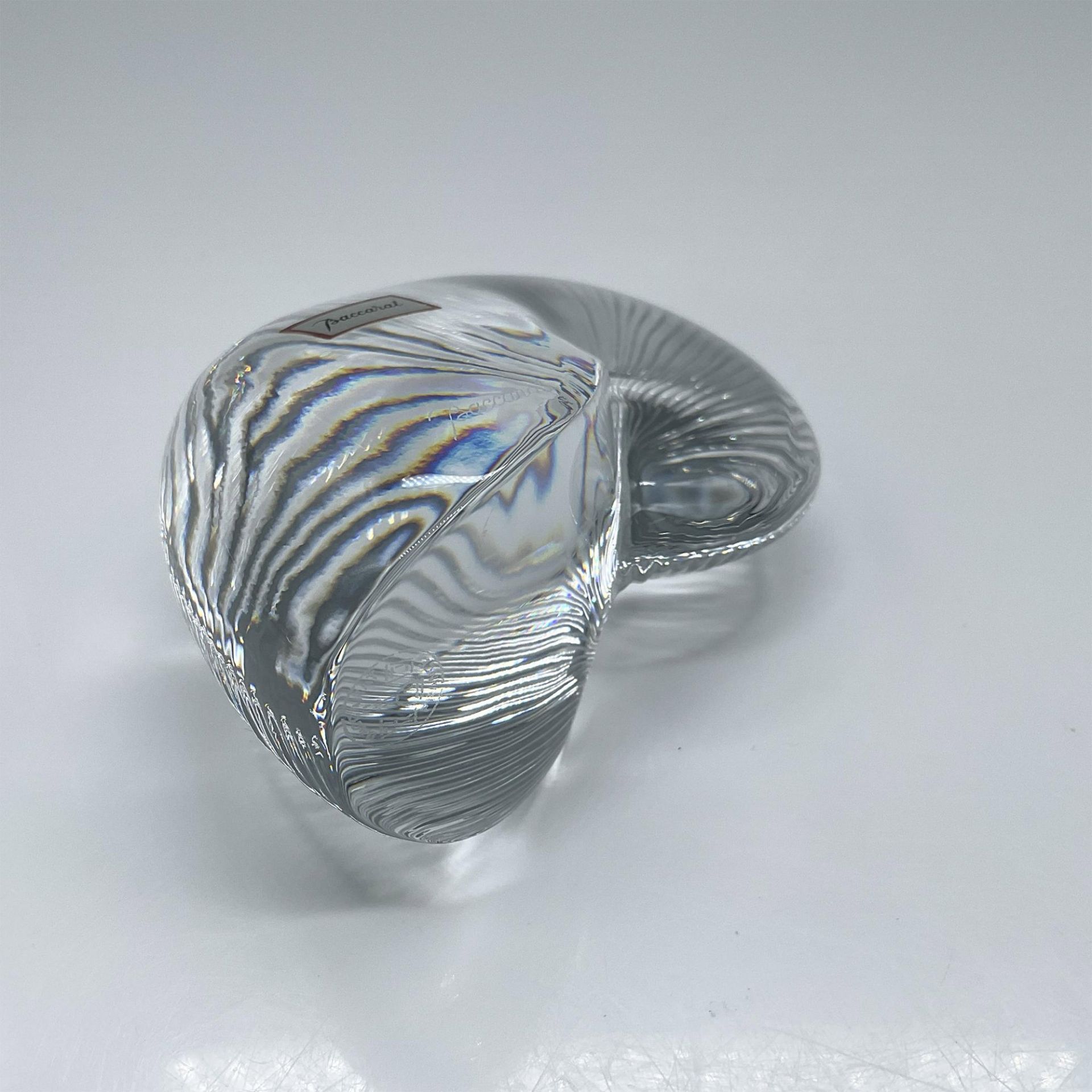 Baccarat Crystal Nautilus Shell Paperweight - Image 5 of 5