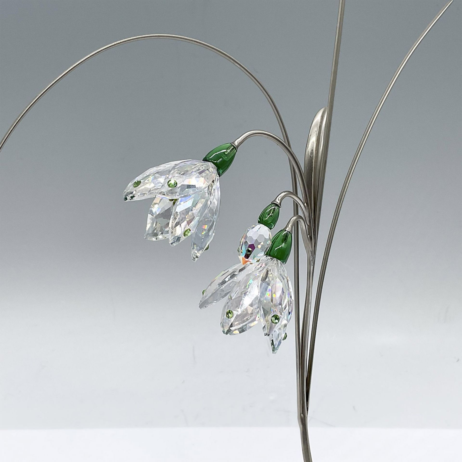 Swarovski Crystal Paradise Flowers Figurine, Damarys Erinite - Bild 3 aus 4