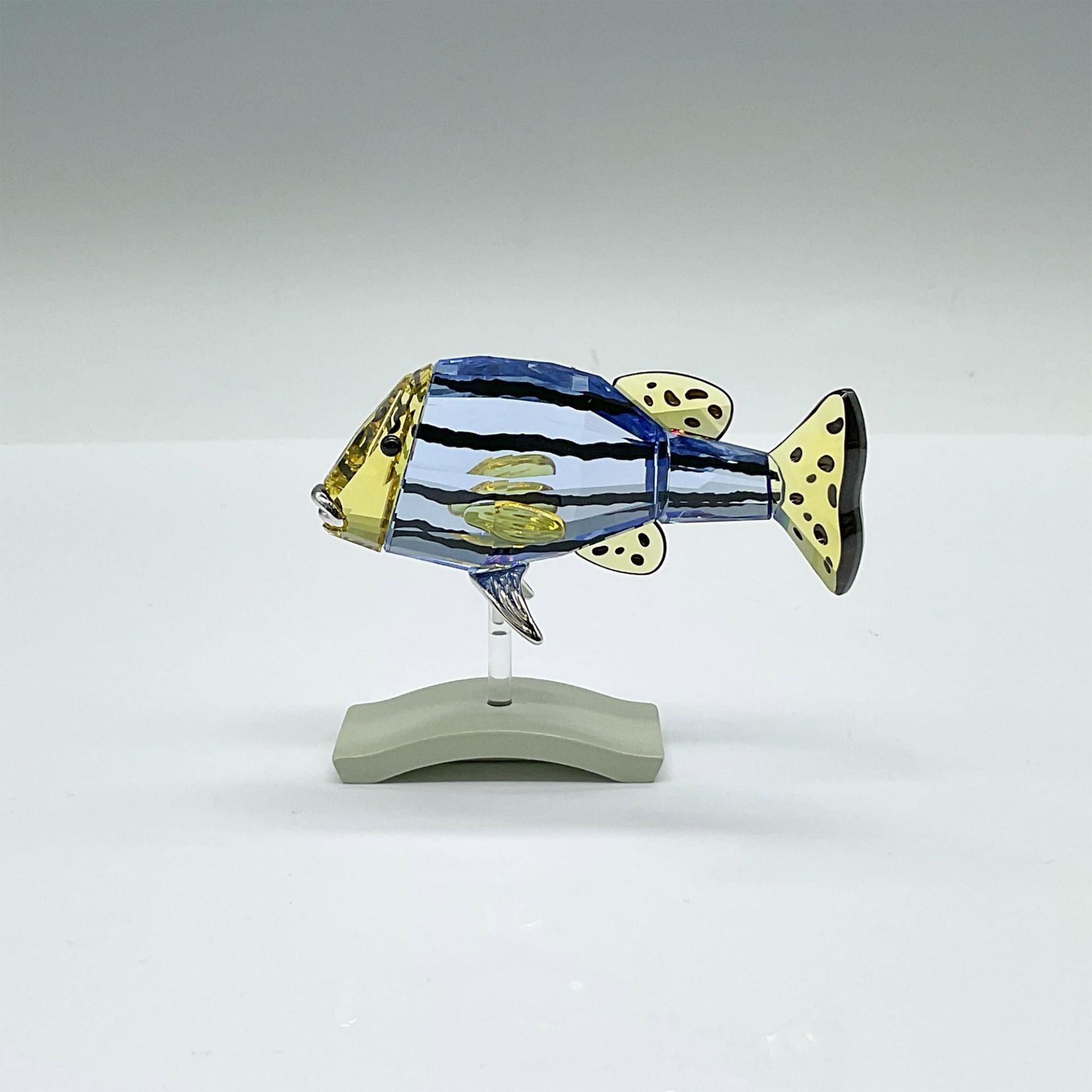 Swarovski Crystal Figurine, Paradise Fish - Catumbela