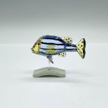 Swarovski Crystal Figurine, Paradise Fish - Catumbela