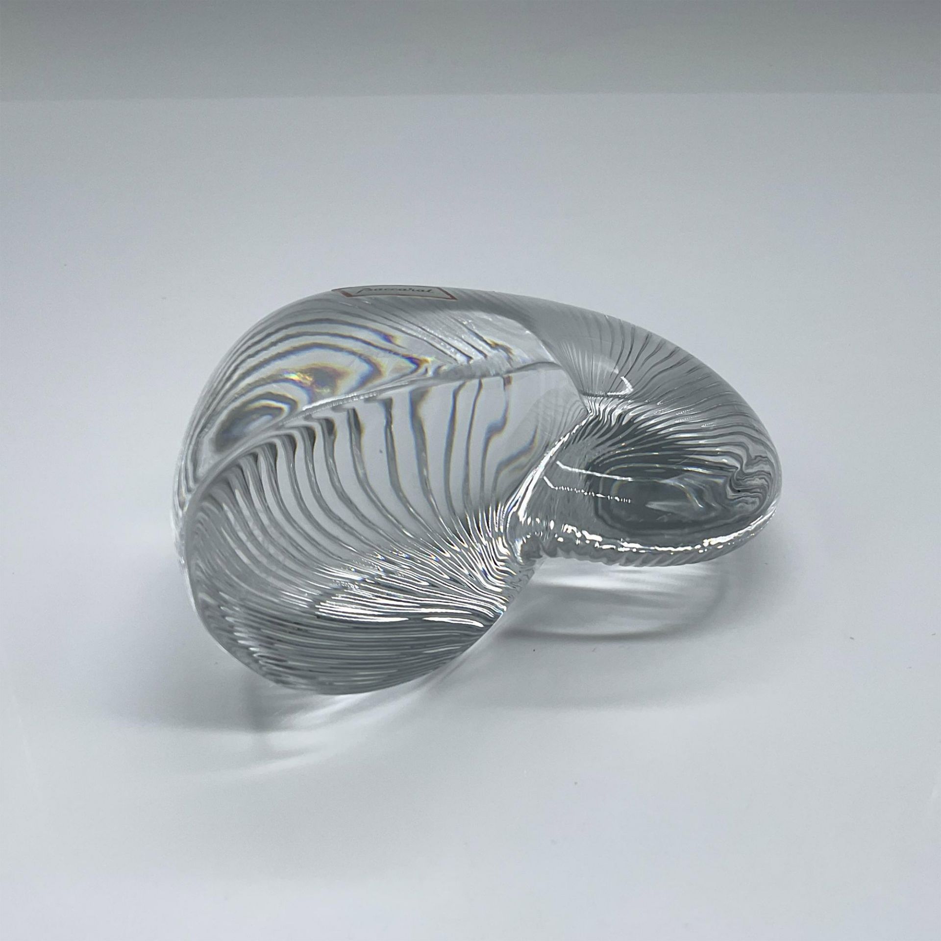 Baccarat Crystal Nautilus Shell Paperweight - Image 4 of 5