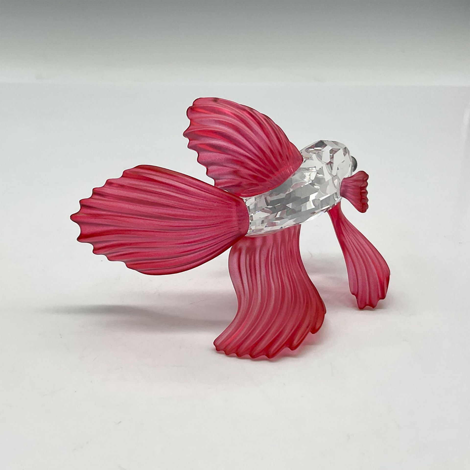 Swarovski Crystal Figurine, Siamese Fighting Fish Red - Image 2 of 3