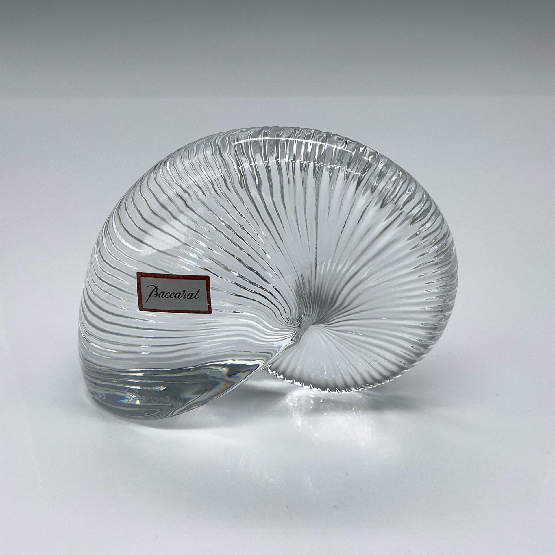 Baccarat Crystal Nautilus Shell Paperweight - Image 3 of 5