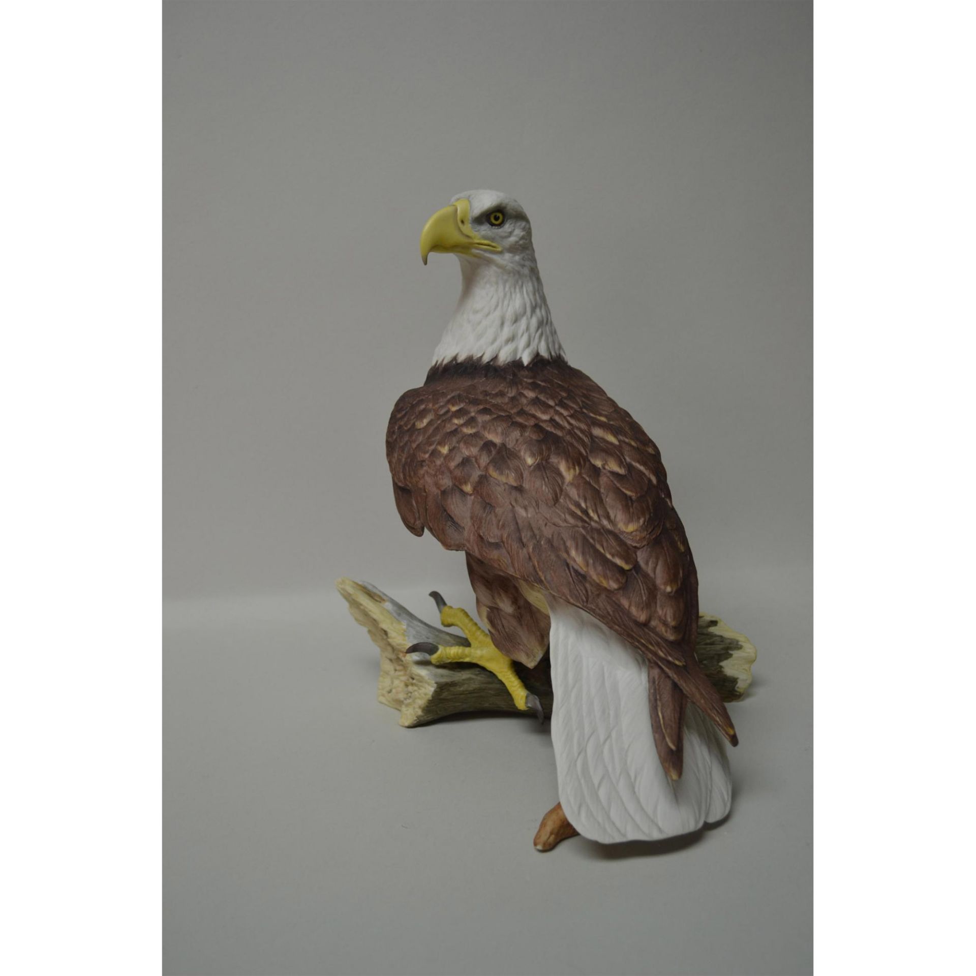 Boehm Porcelain American Bald Eagle Bird Sculpture - Image 2 of 6