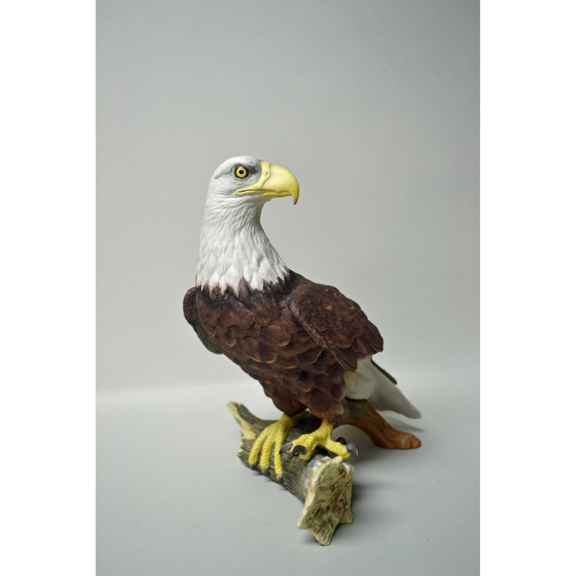 Boehm Porcelain American Bald Eagle Bird Sculpture - Image 5 of 6