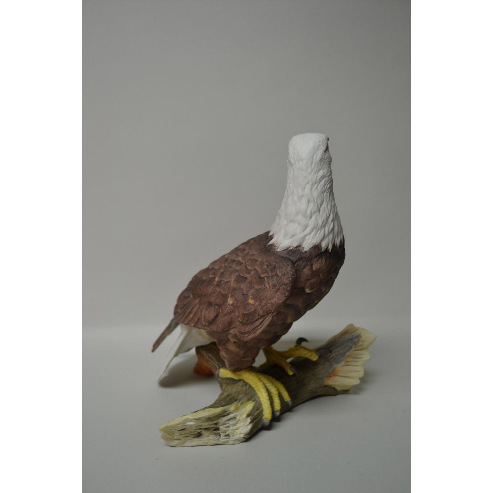 Boehm Porcelain American Bald Eagle Bird Sculpture - Image 4 of 6