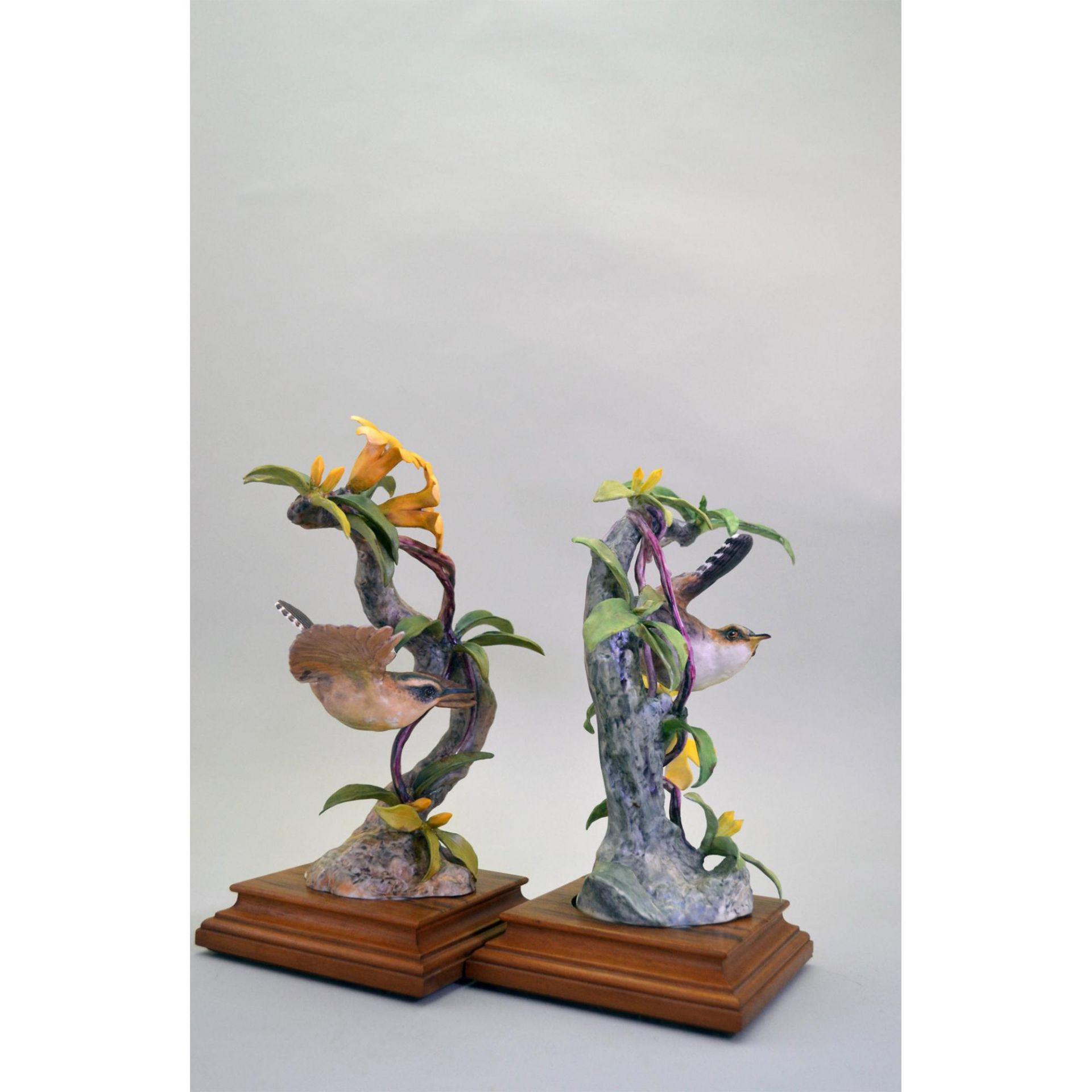 Royal Worcester Porcelain Dorothy Doughty Beswick Wrens And Yellow Jasmine, Pair - Bild 4 aus 7