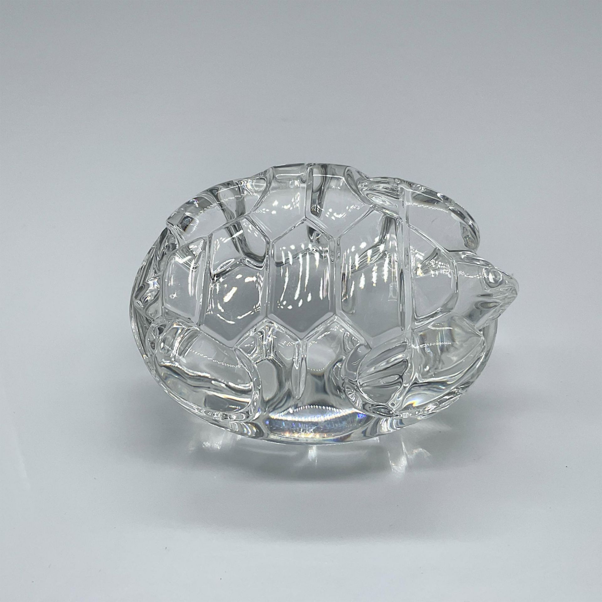 Steuben Glass Crystal Tortoise Hand Cooler - Bild 3 aus 3