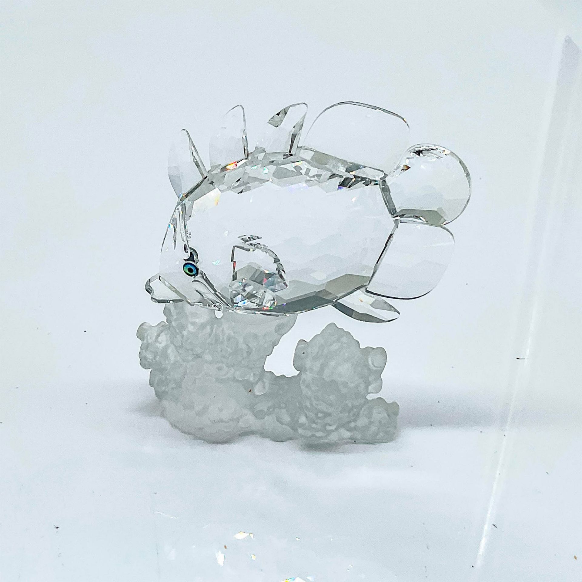 Swarovski Silver Crystal Figurine, Butterfly Fish - Bild 2 aus 4