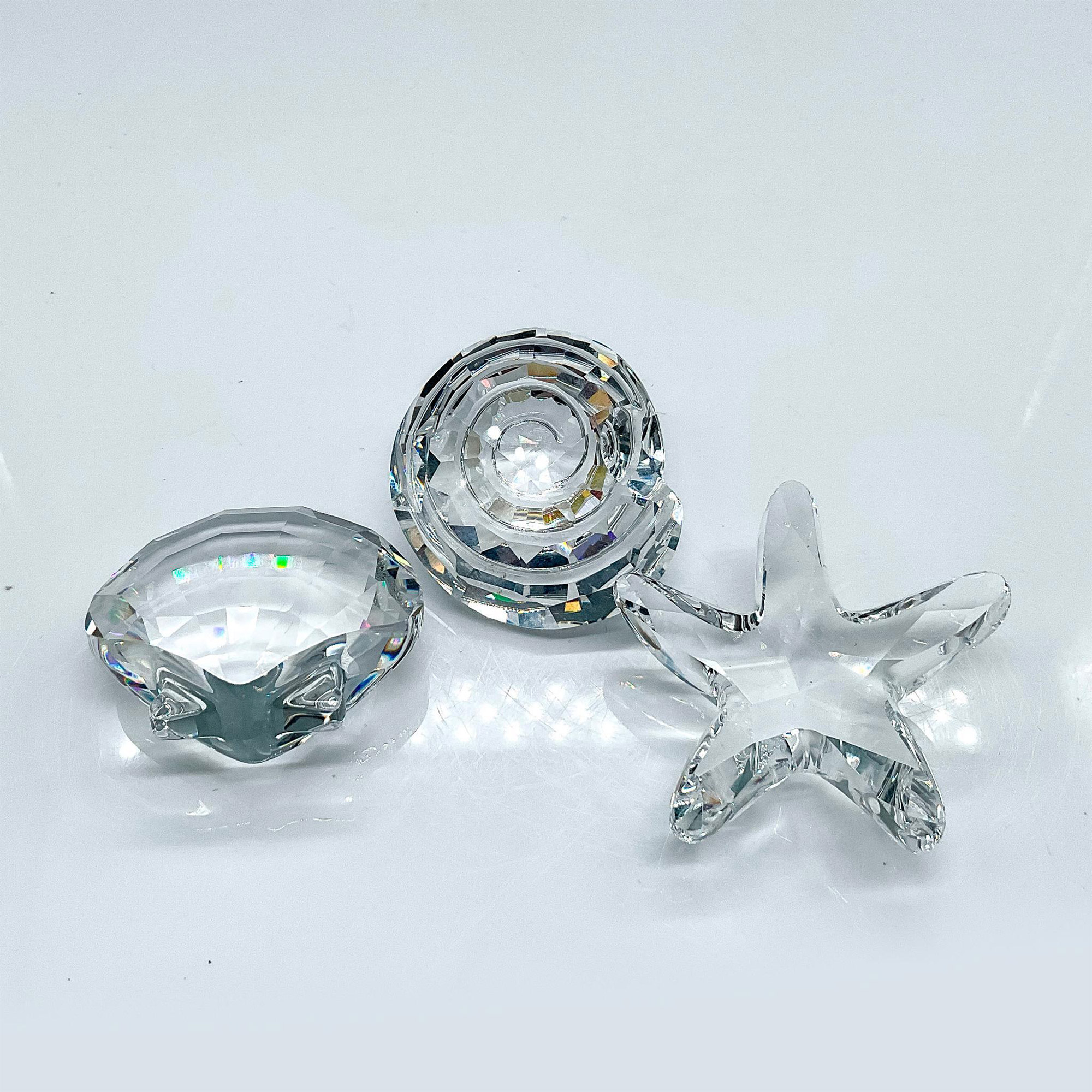 3pc Swarovski Crystal Paperweights, Shells - Image 2 of 3