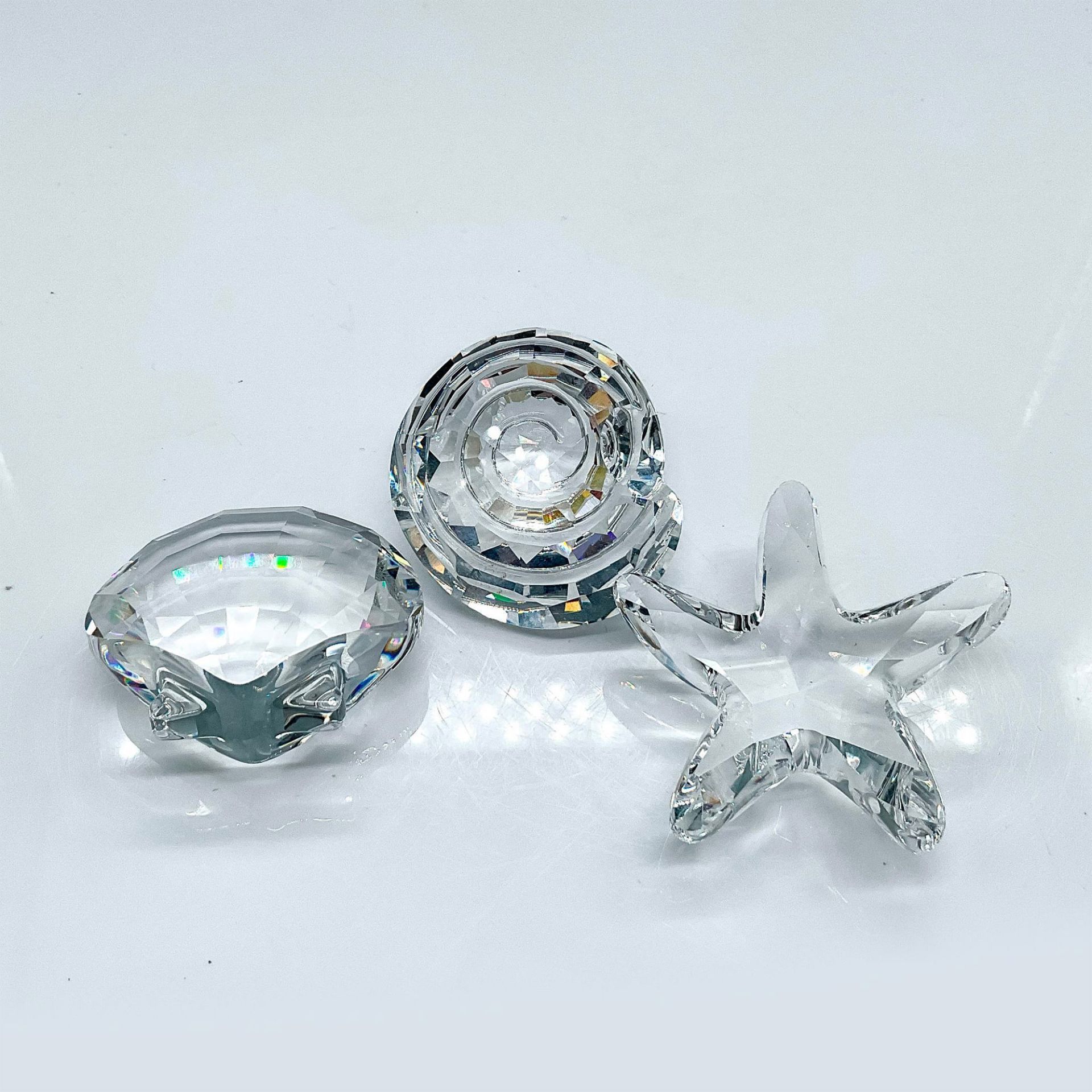 3pc Swarovski Crystal Paperweights, Shells - Bild 2 aus 3