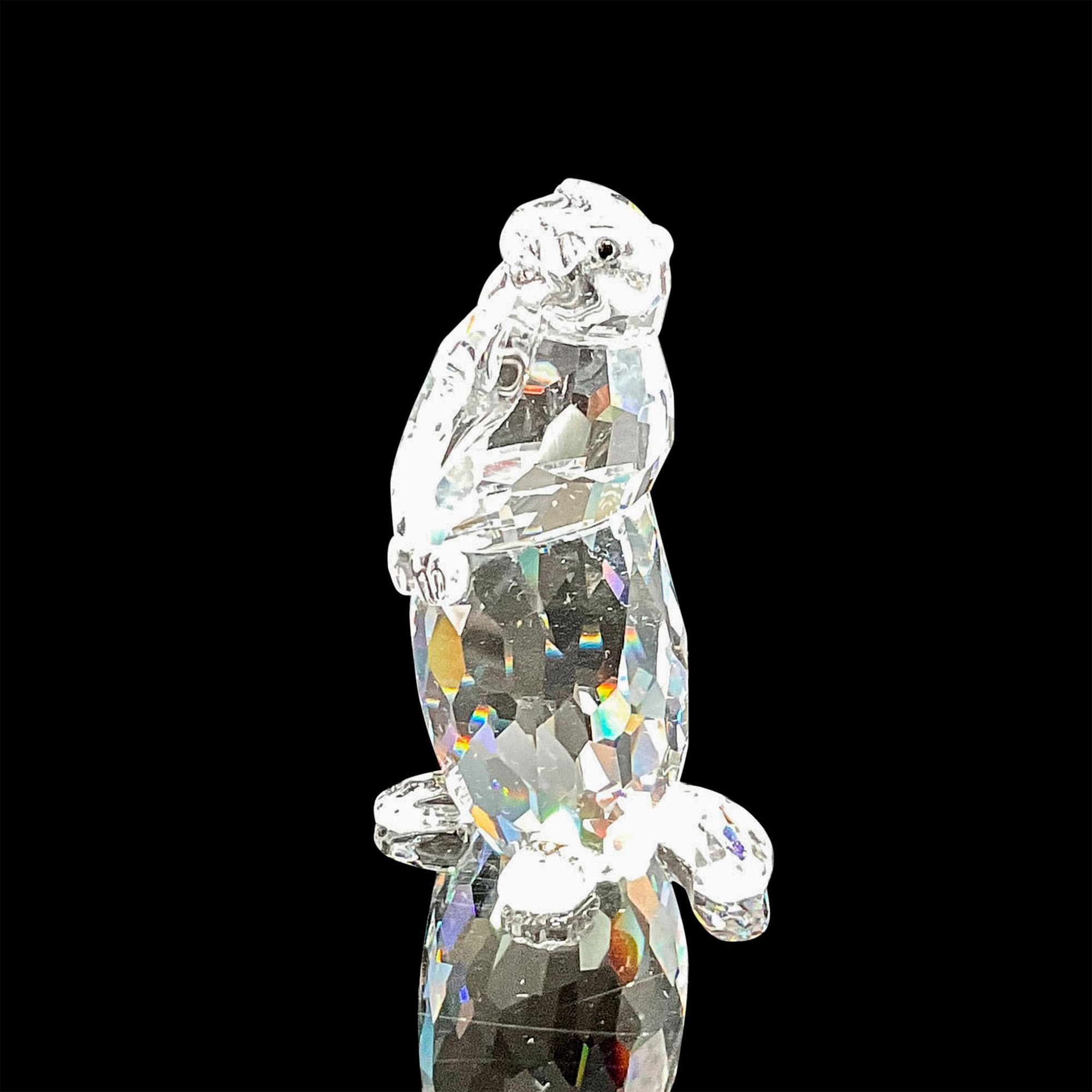 Swarovski Crystal Figurine, Marmot