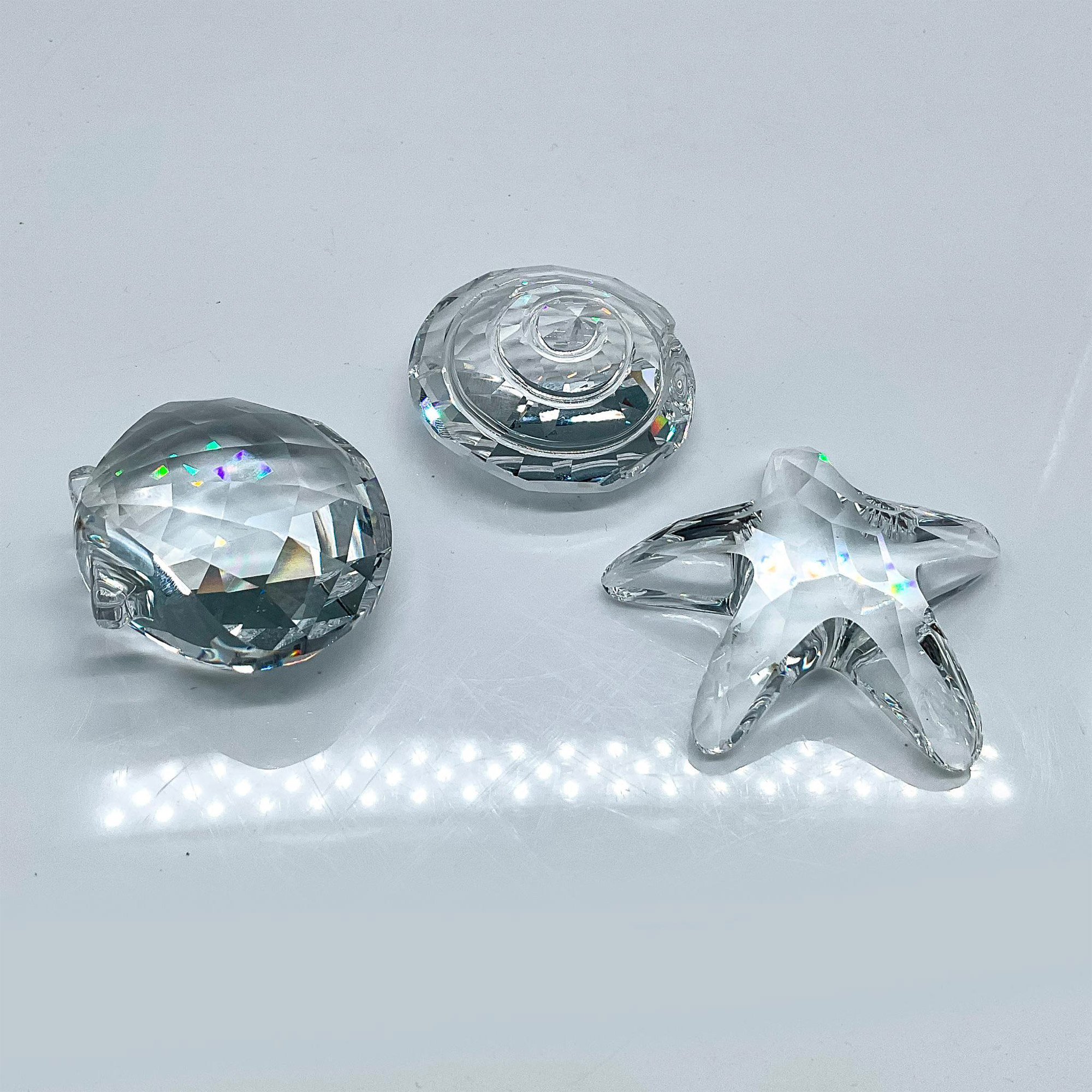 3pc Swarovski Crystal Paperweights, Shells