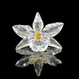 Swarovski Silver Crystal Figurine, The Yellow Orchid