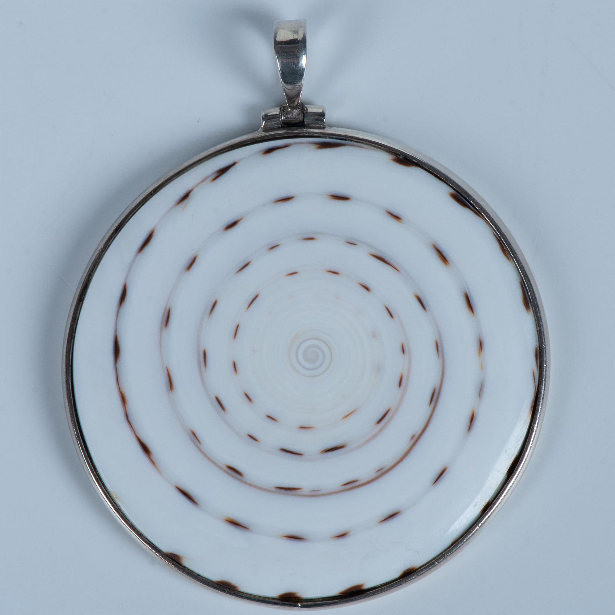 Beautiful Silver & Natural Cone Shell Pendant