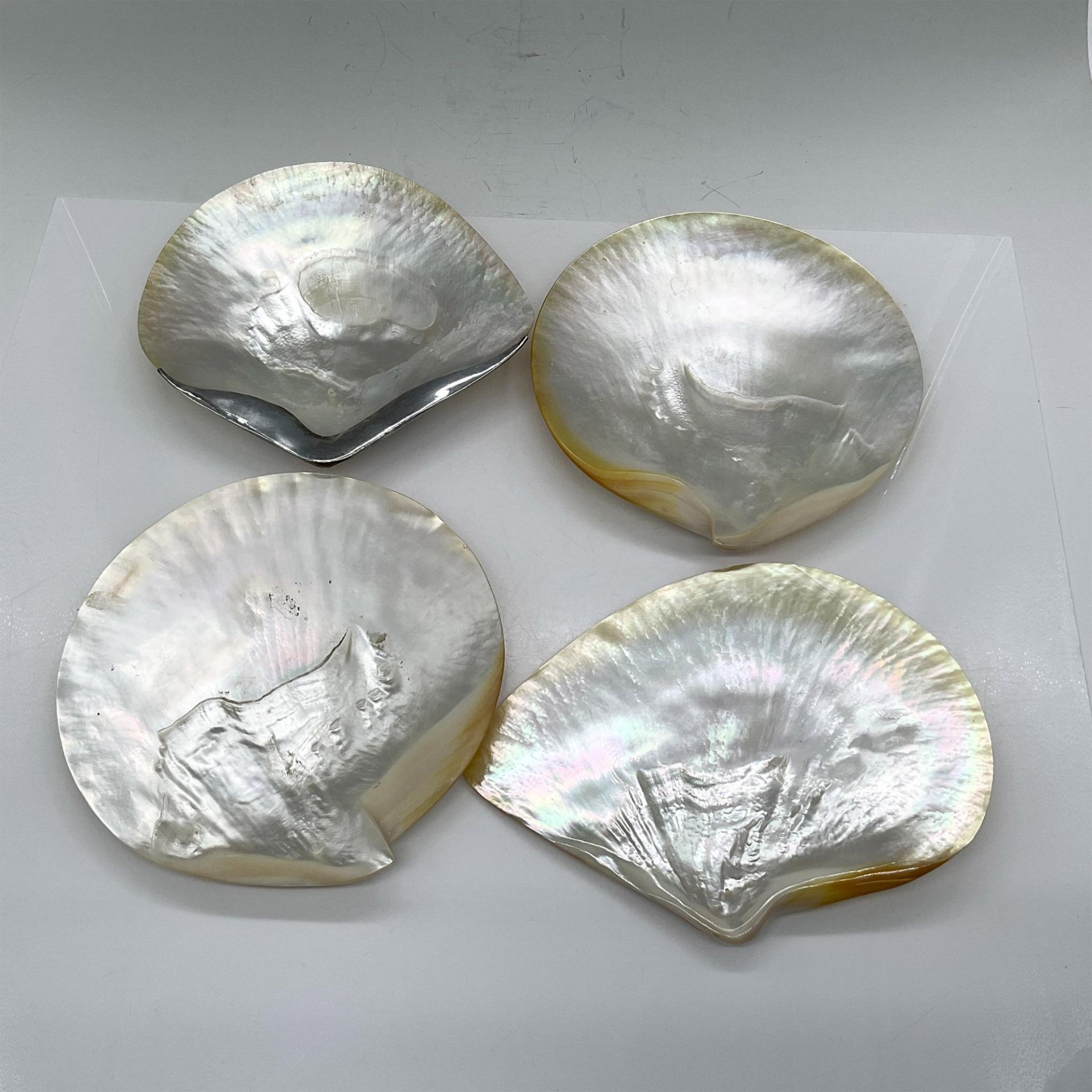 4pc Mother Of Pearl Shell Appetizer Plates