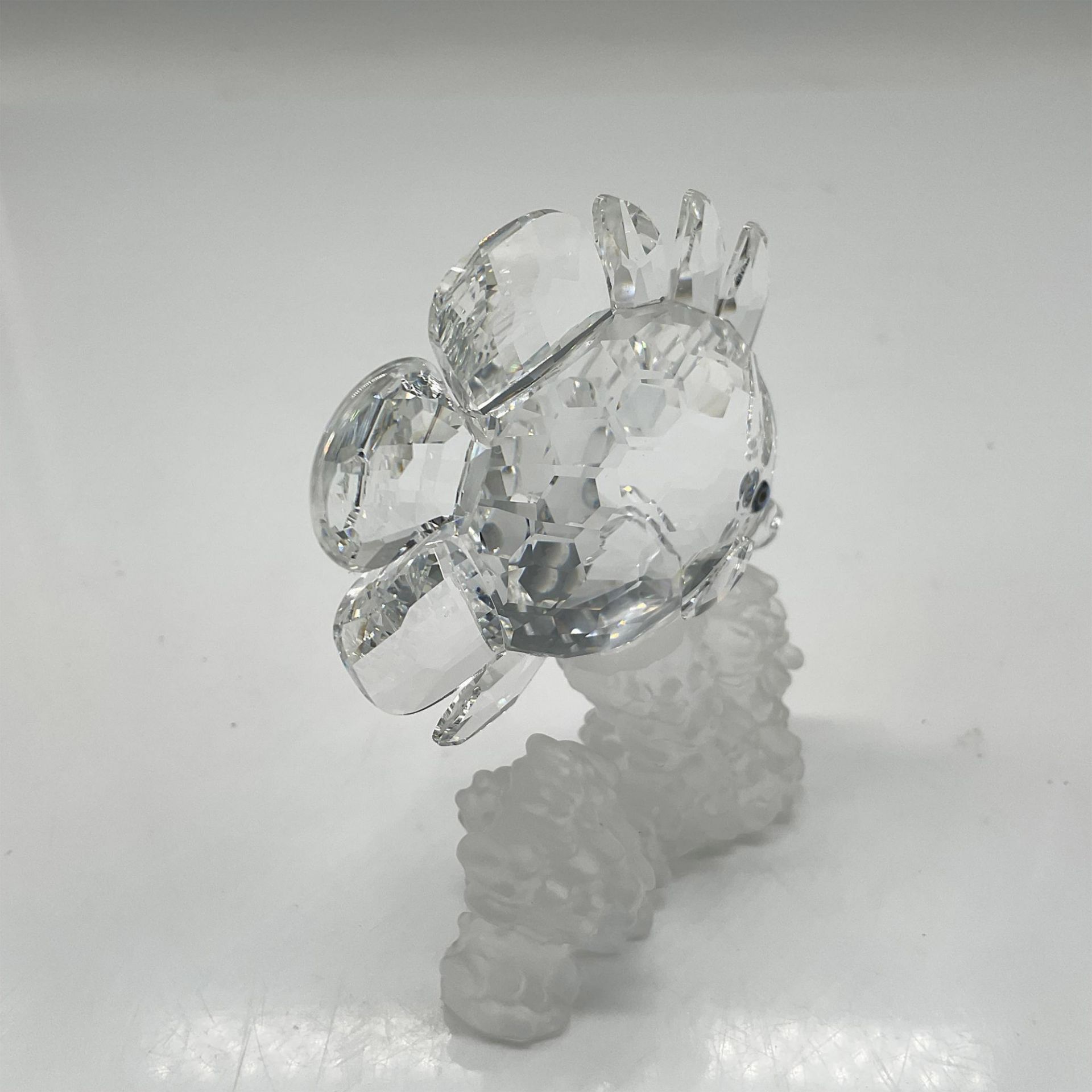 Swarovski Silver Crystal Figurine, Butterfly Fish - Bild 2 aus 4
