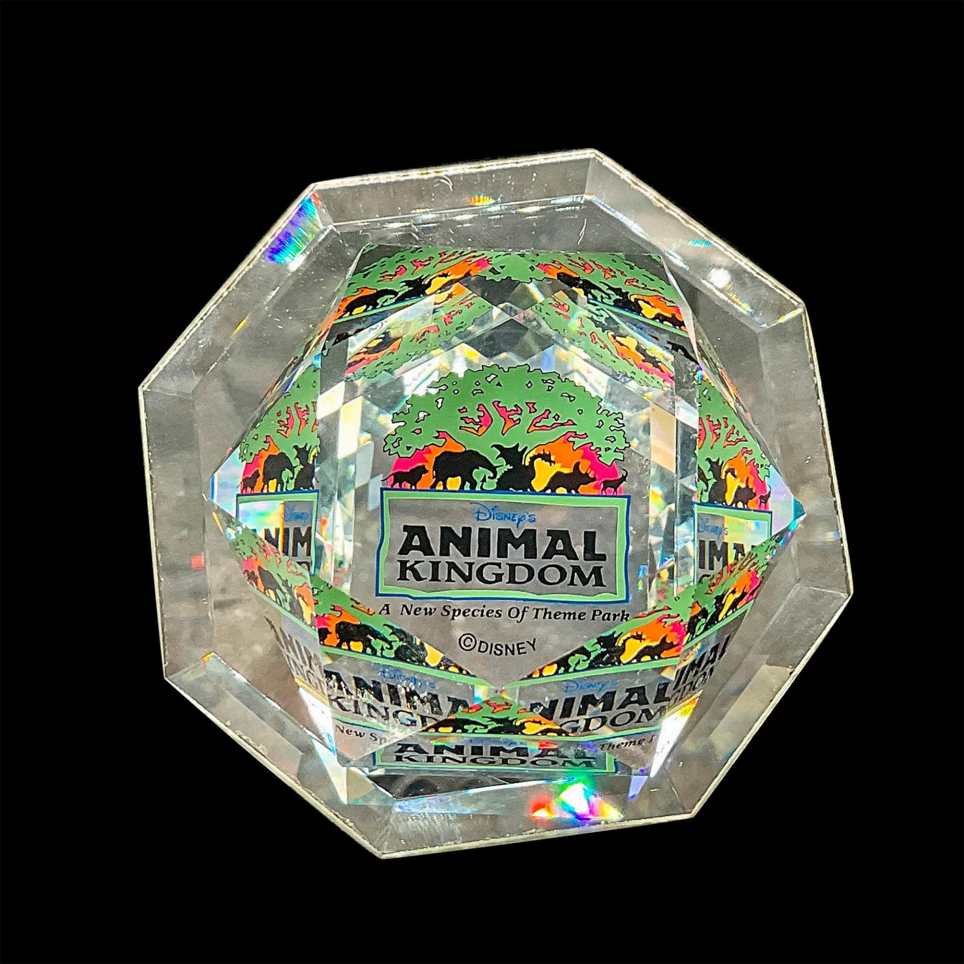 Swarovski Arribas Crystal Paperweight, Disney Animal Kingdom - Bild 2 aus 5