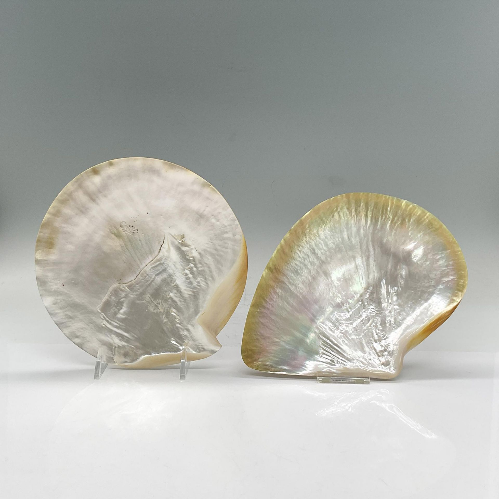 4pc Mother Of Pearl Shell Appetizer Plates - Bild 4 aus 5