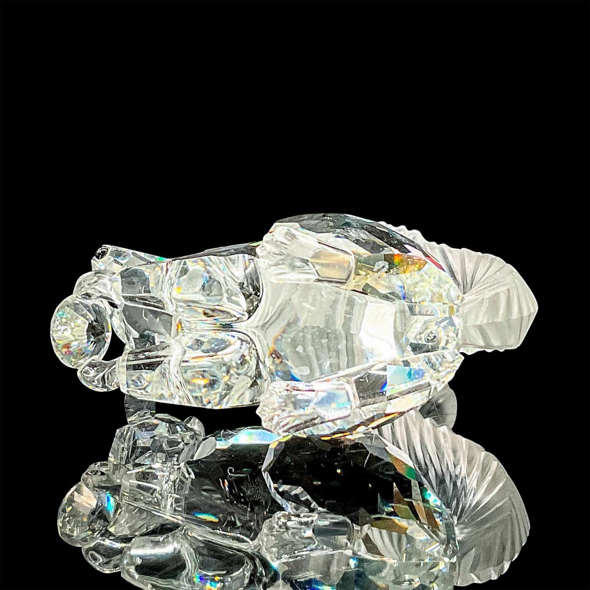 Swarovski Crystal Figurine, SCS Members Squirrel + Base - Bild 3 aus 5