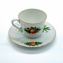 Schumann Bavaria Florida Pattern Teacup and Saucer