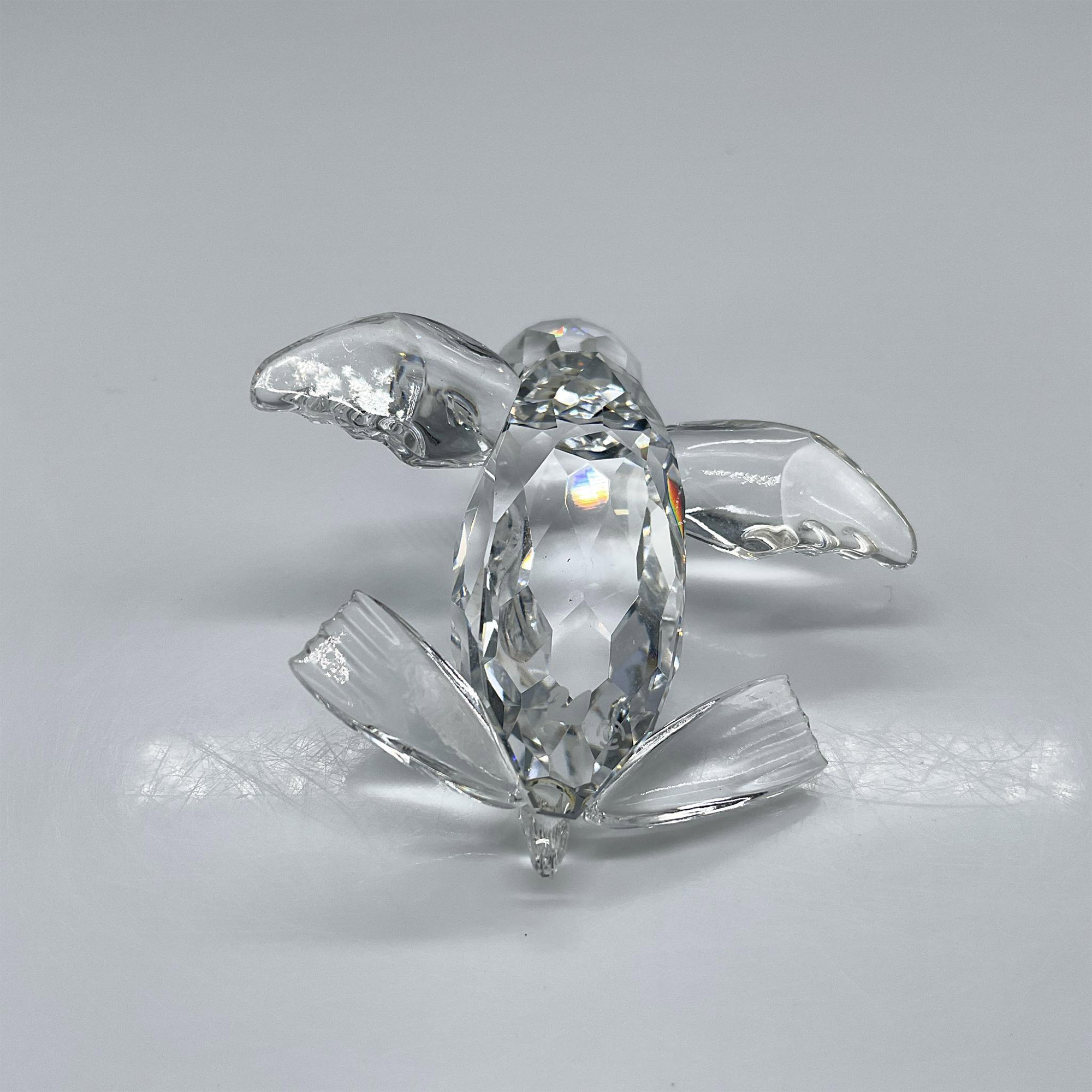 Swarovski Crystal Figurine, Baby Sea Lion - Image 3 of 4