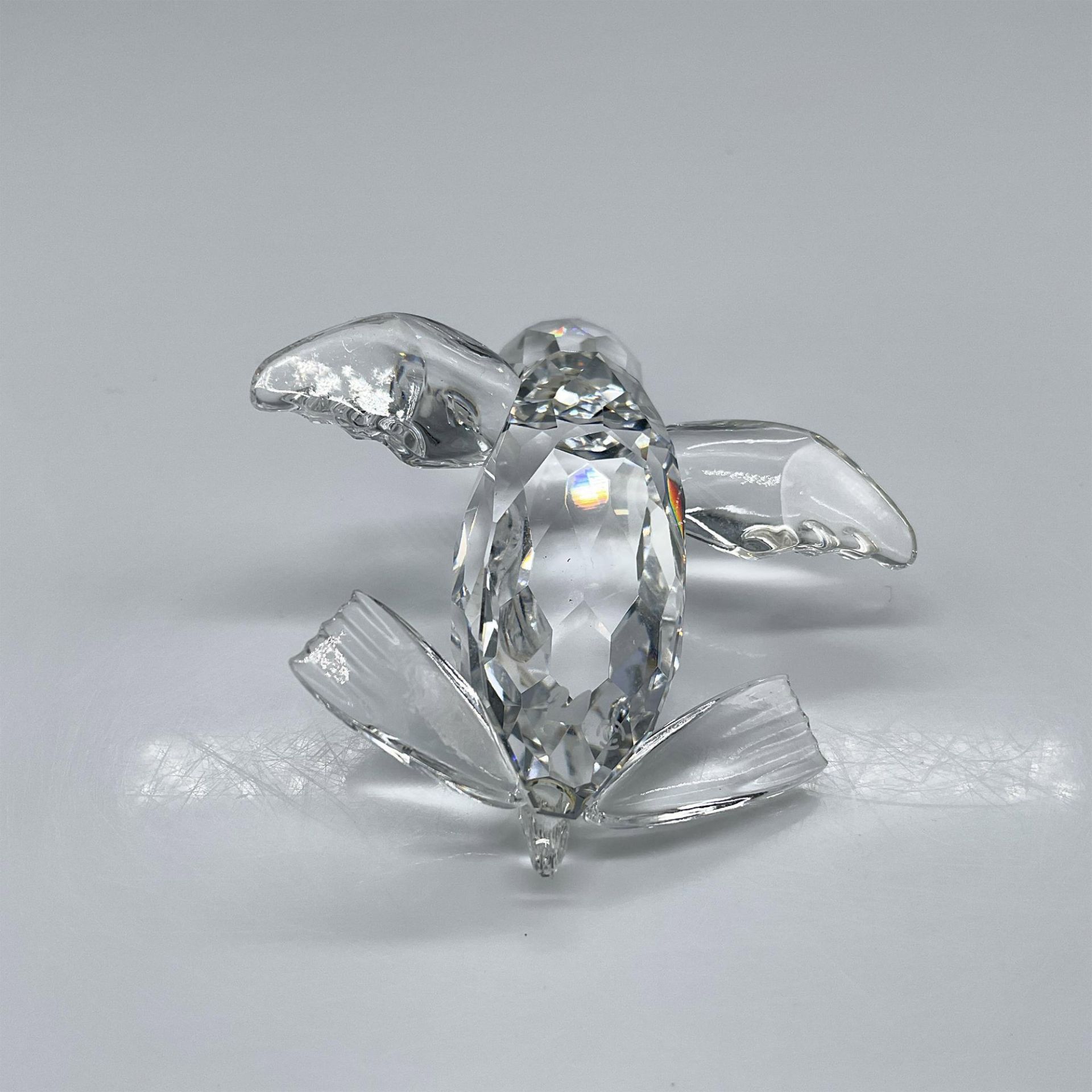 Swarovski Crystal Figurine, Baby Sea Lion - Bild 3 aus 4