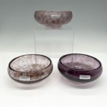 Waterford Crystal Evolution Bowls, Urban Safari - Set of 3