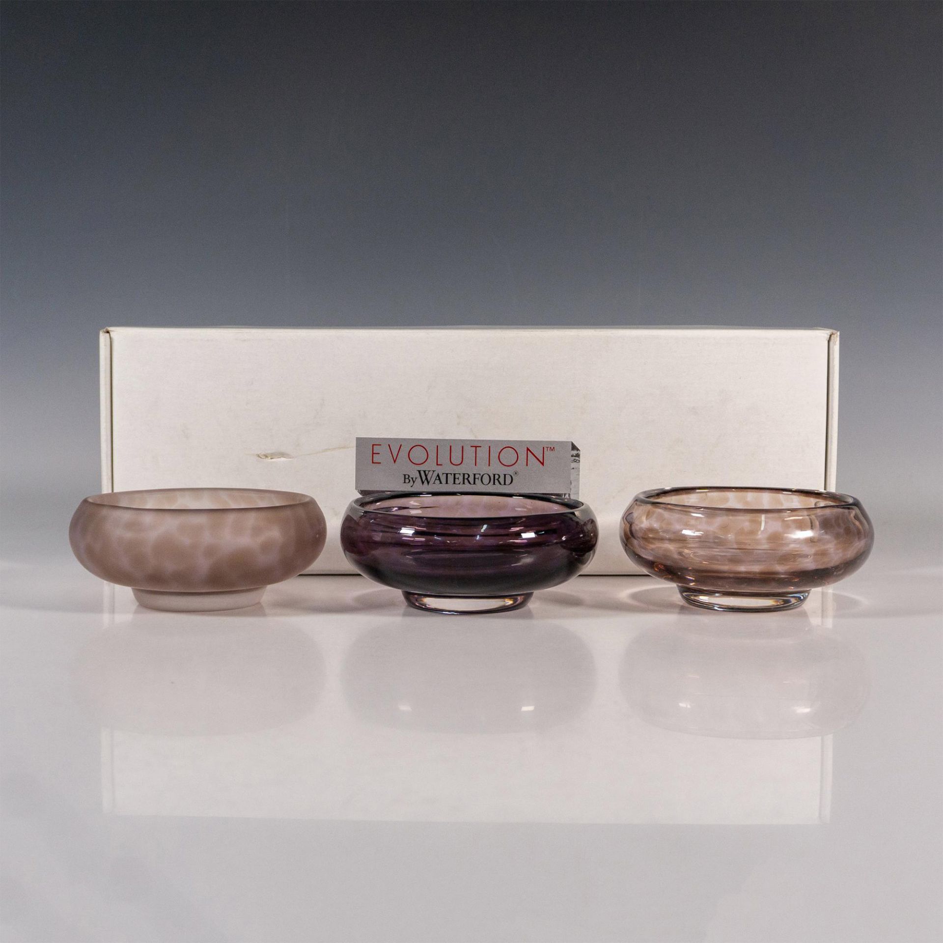 Evolution by Waterford Crystal Bowls, Urban Safari