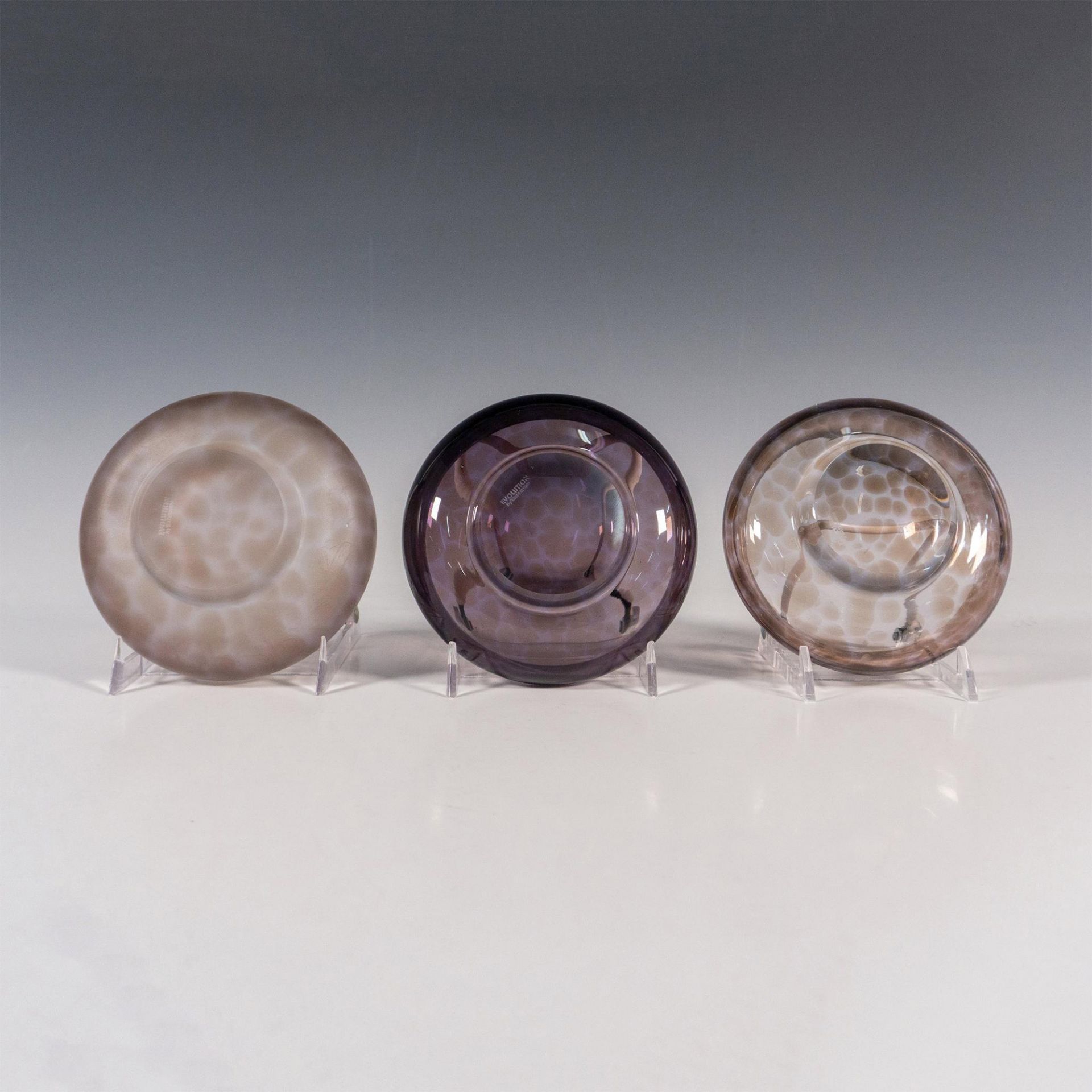 Evolution by Waterford Crystal Bowls, Urban Safari - Bild 3 aus 3