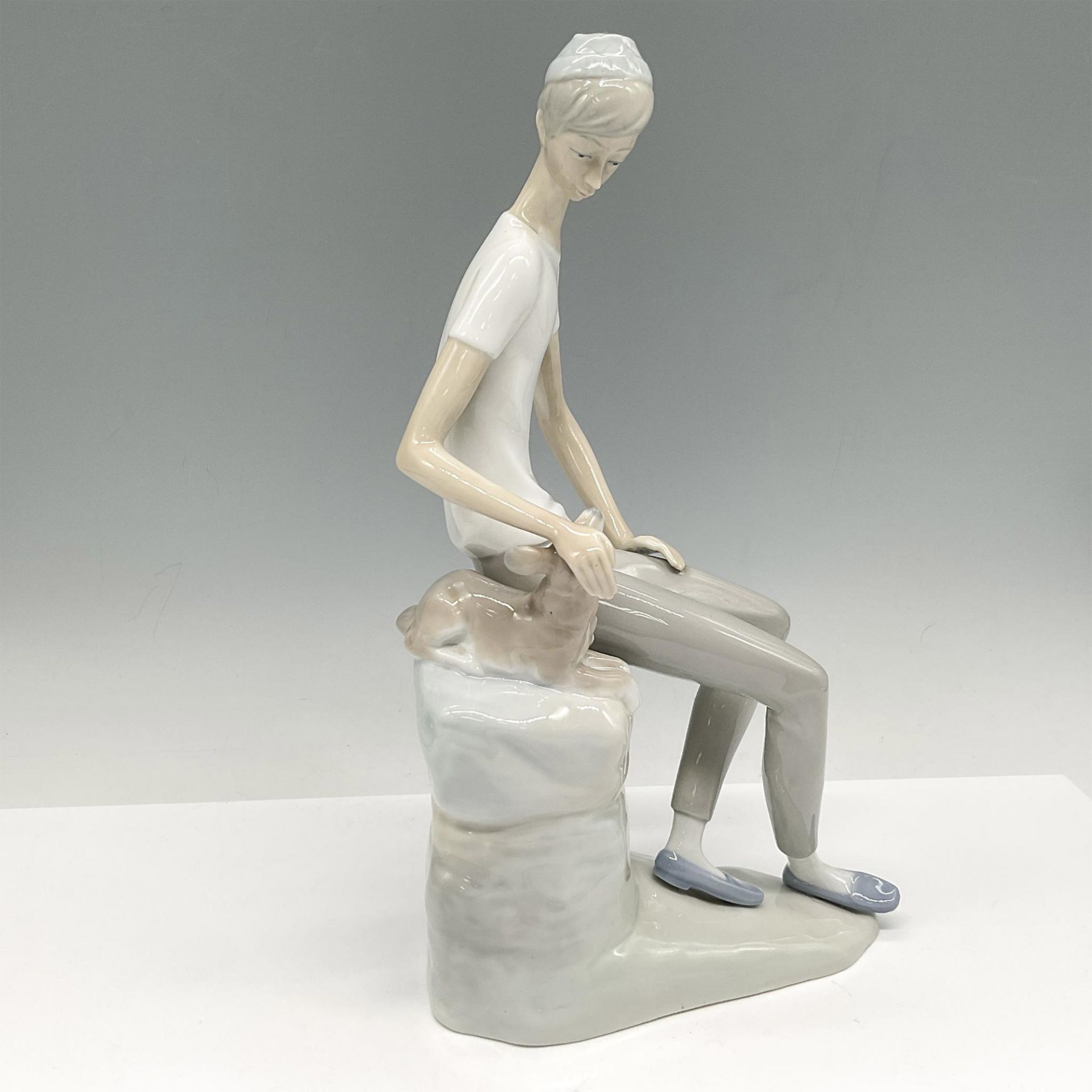 Boy with Dog - Nao by Lladro Porcelain Figurine - Bild 2 aus 4