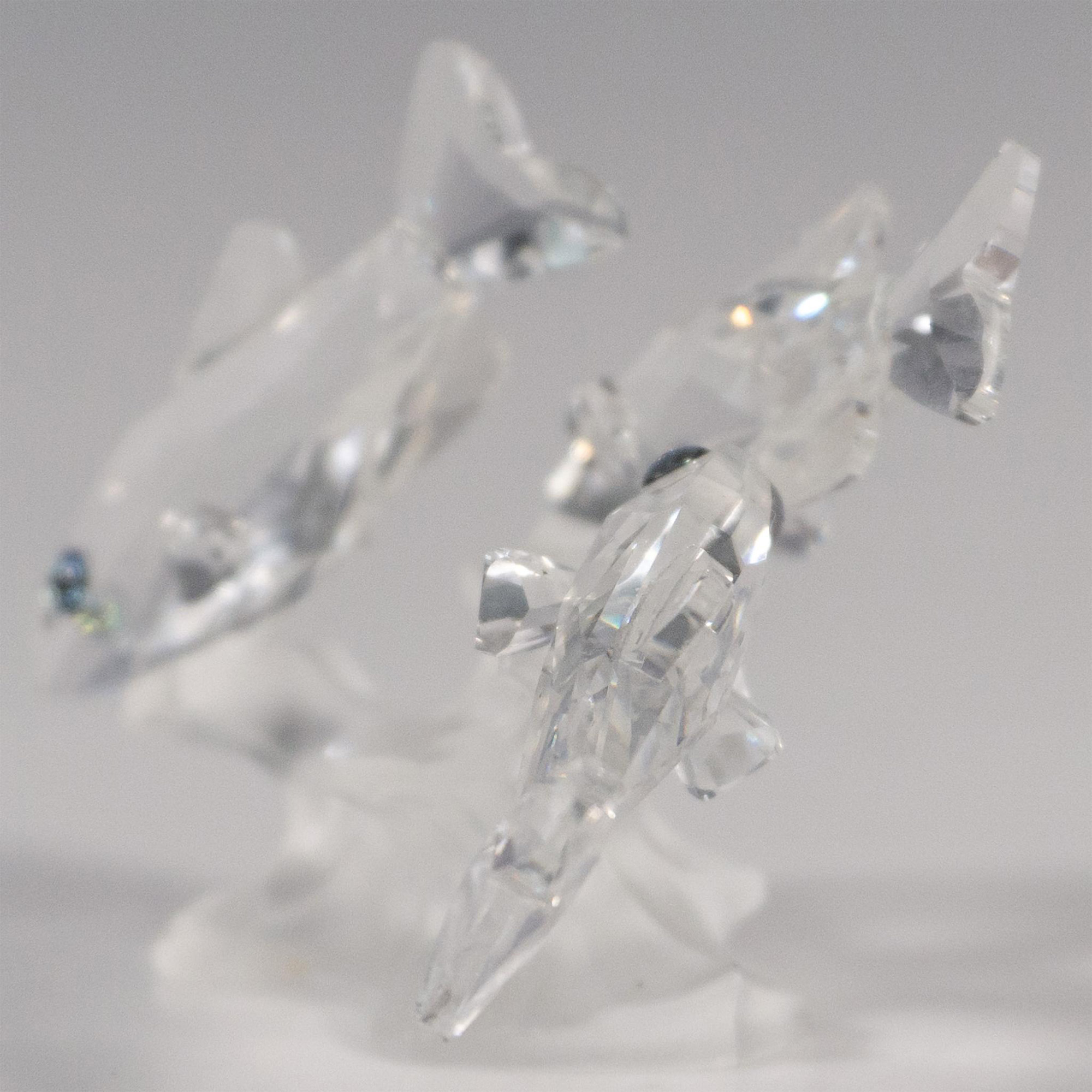 Swarovski Silver Crystal Figurine, South Sea Fish - Image 4 of 5