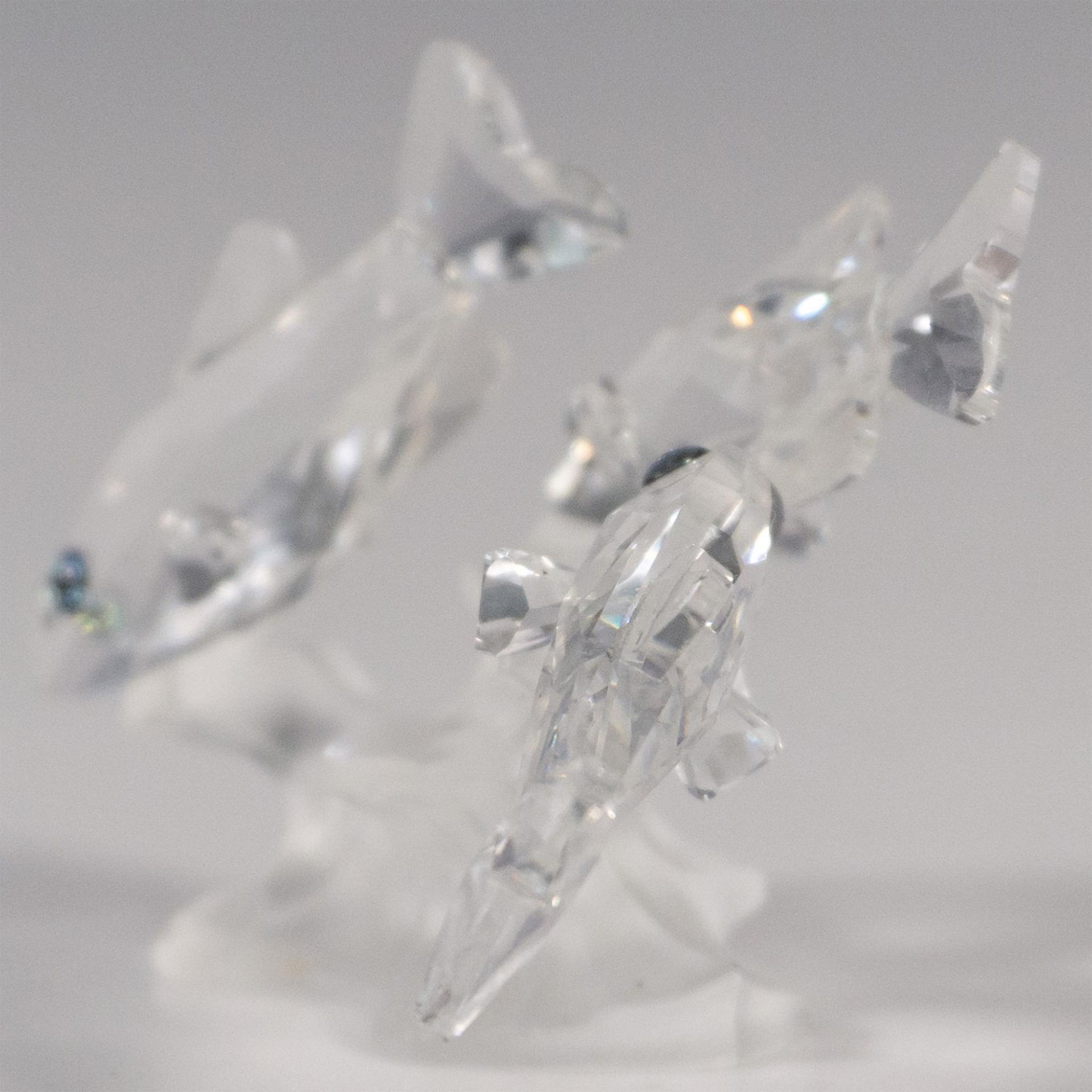 Swarovski Silver Crystal Figurine, South Sea Fish - Bild 4 aus 5