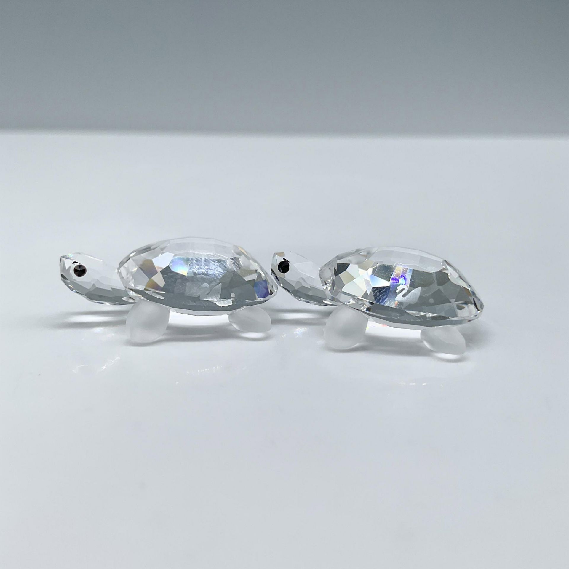 2pc Swarovski Crystal Miniatures, Baby Tortoises - Bild 4 aus 5
