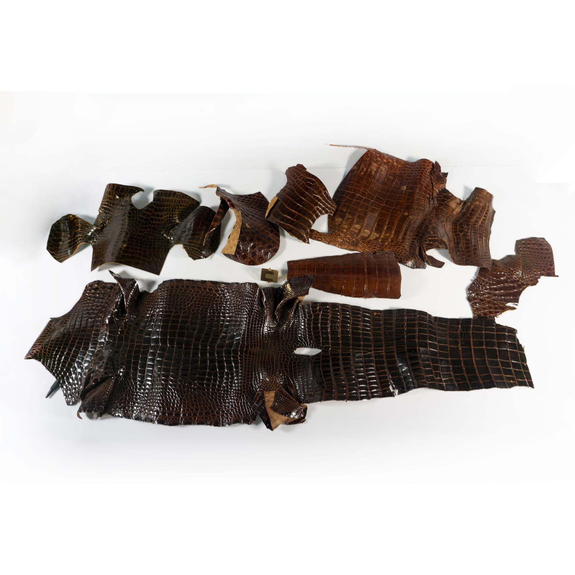 Assorted Pieces of Alligator Tanned Hide