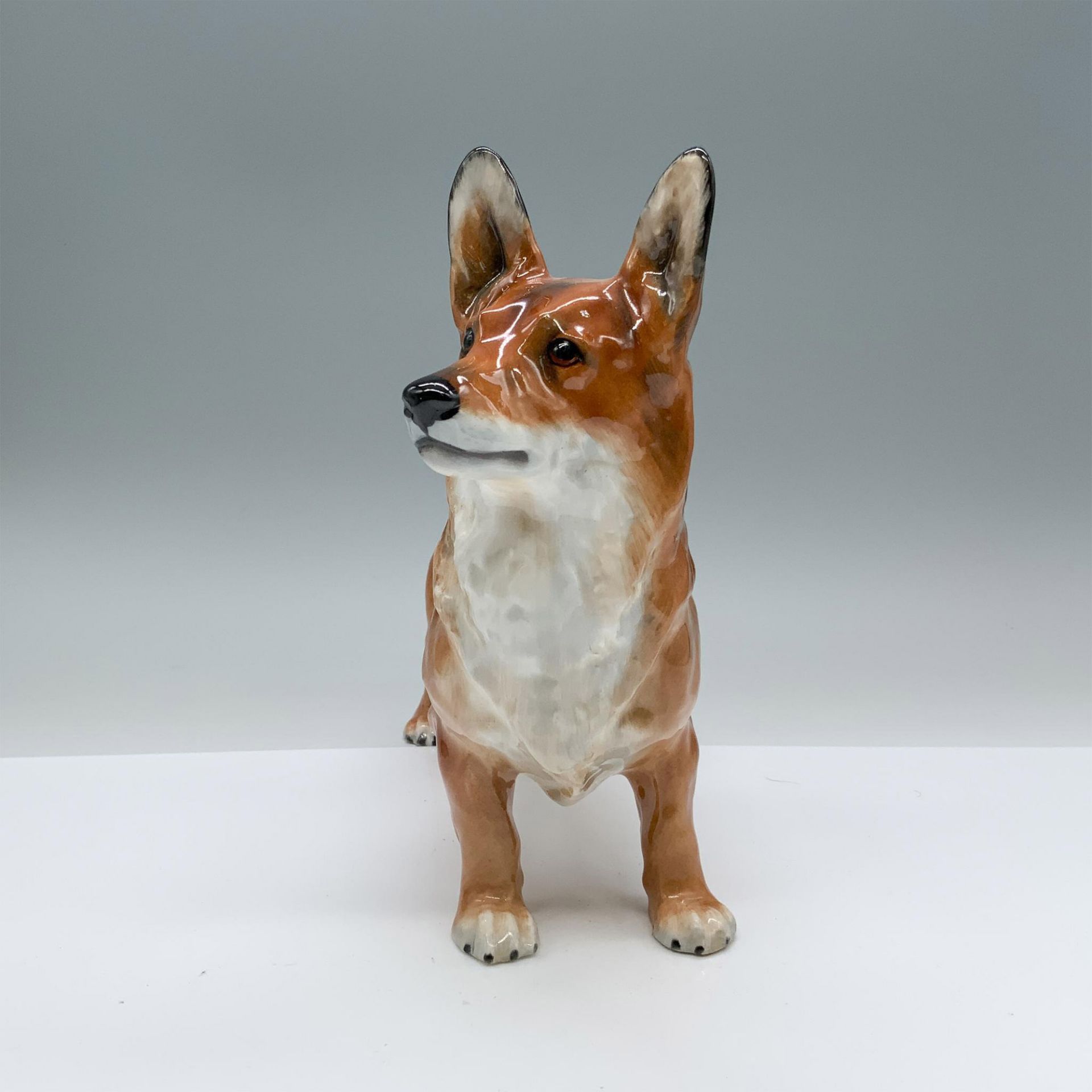 Rare Royal Doulton Spring Robin Dog Figurine, Corgi HN2557 - Image 3 of 5