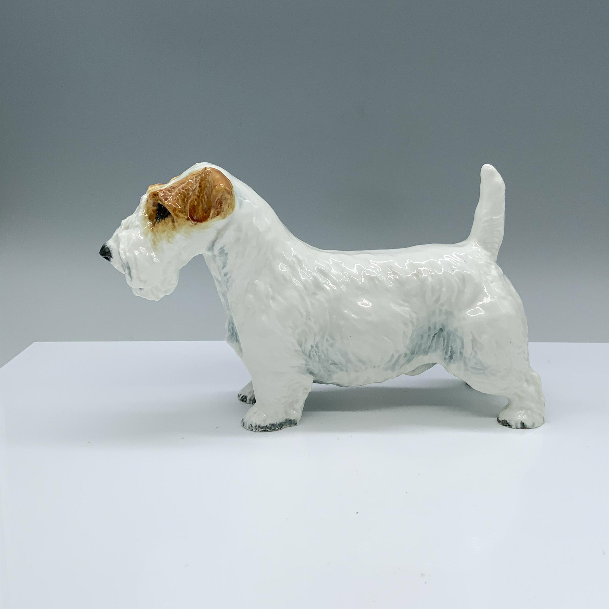 Sealyham - HN1030 - Royal Doulton Animal Figurine - Image 3 of 6