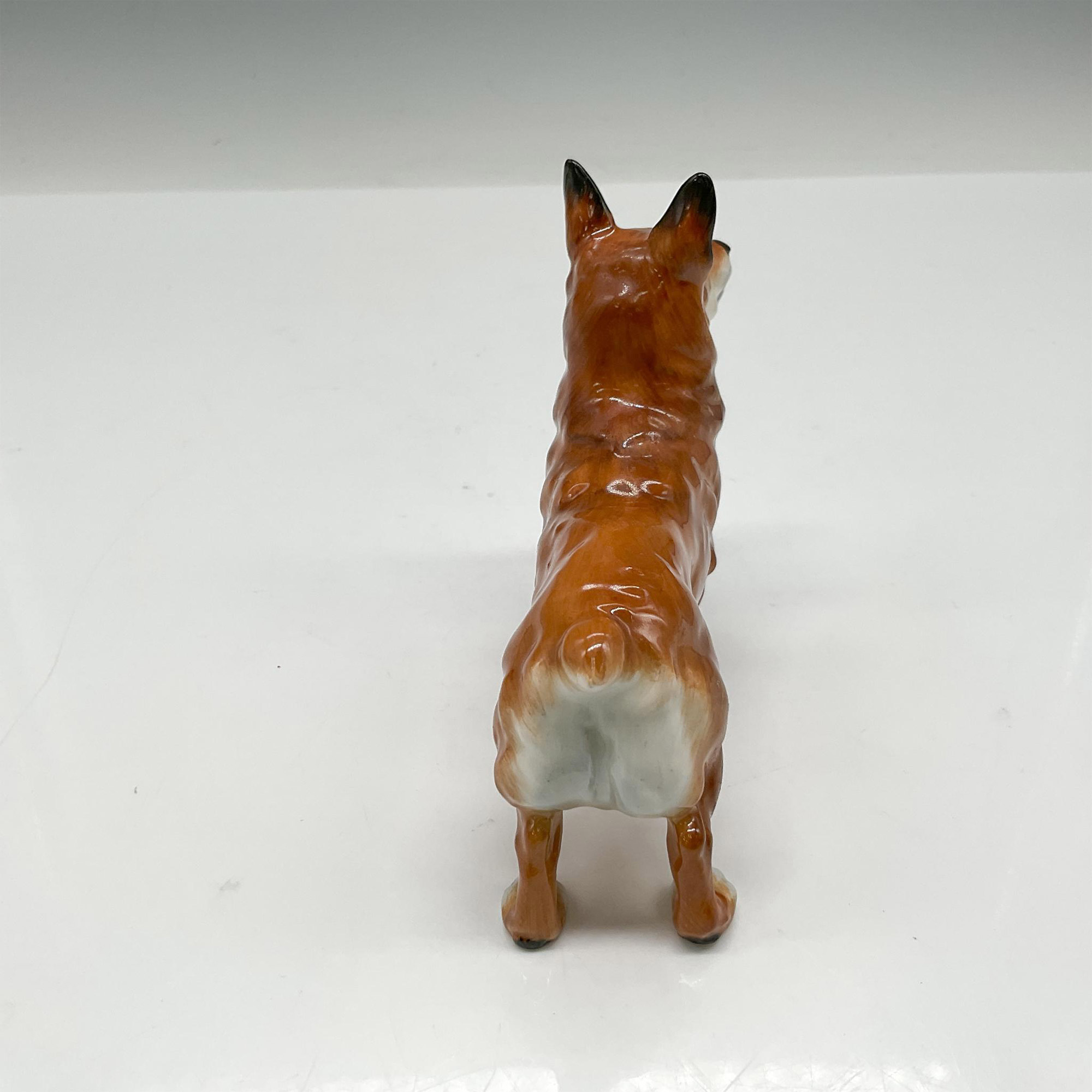 Welsh Corgi - HN2559 - Royal Doulton Animal Figurine - Image 2 of 3