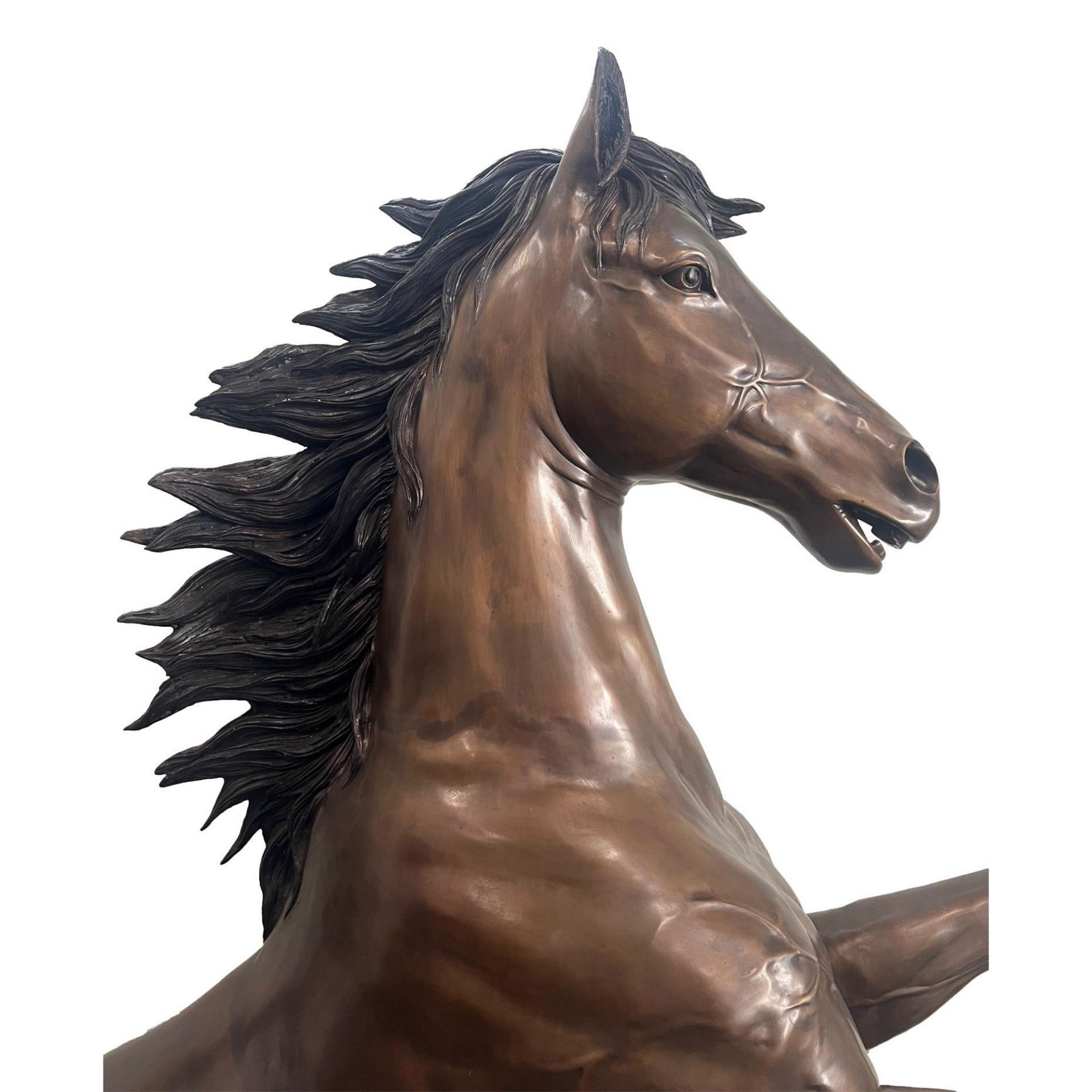 Bronze Large Sculpture, Rearing Horse - Bild 6 aus 10