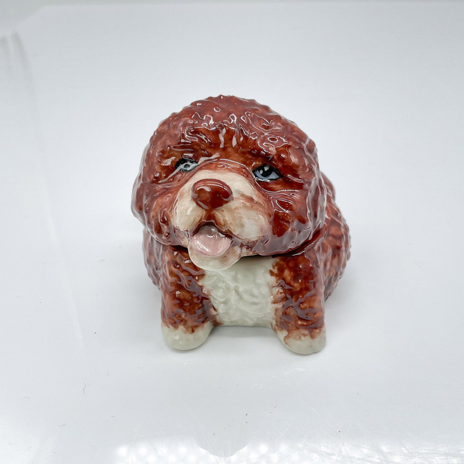 Kevin Francis Dog Face Pot, Elian the Portuguese Water Dog