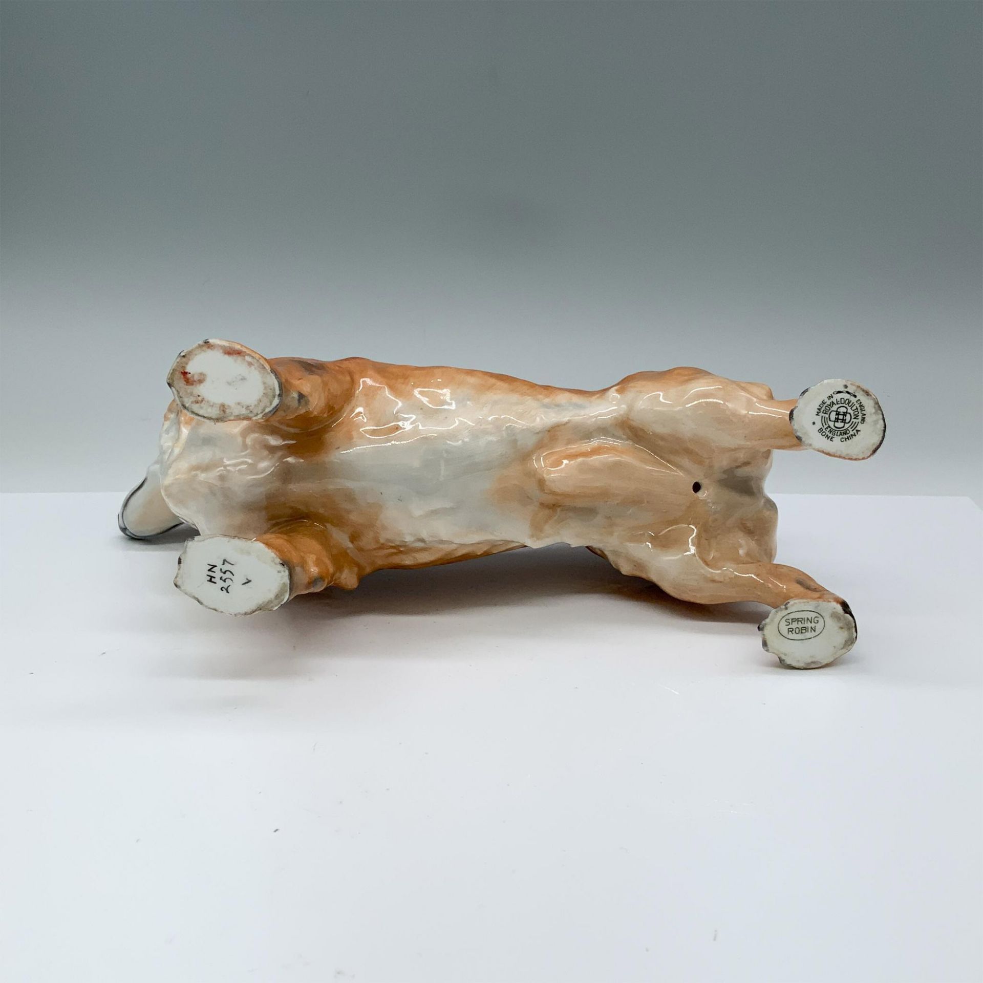 Rare Royal Doulton Spring Robin Dog Figurine, Corgi HN2557 - Image 5 of 5