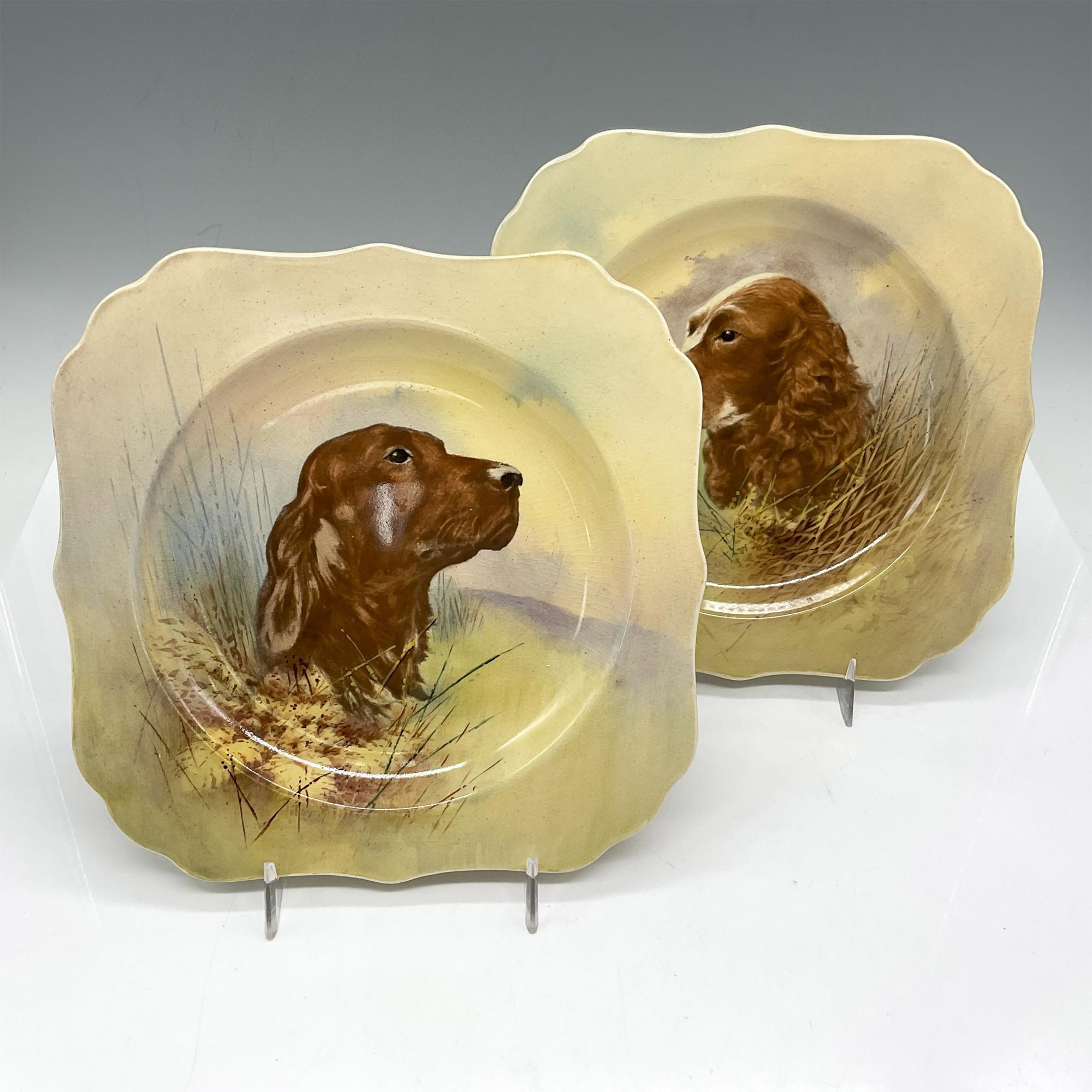 2pc Royal Doulton Series Ware Plates, Dog's Heads - Image 2 of 3